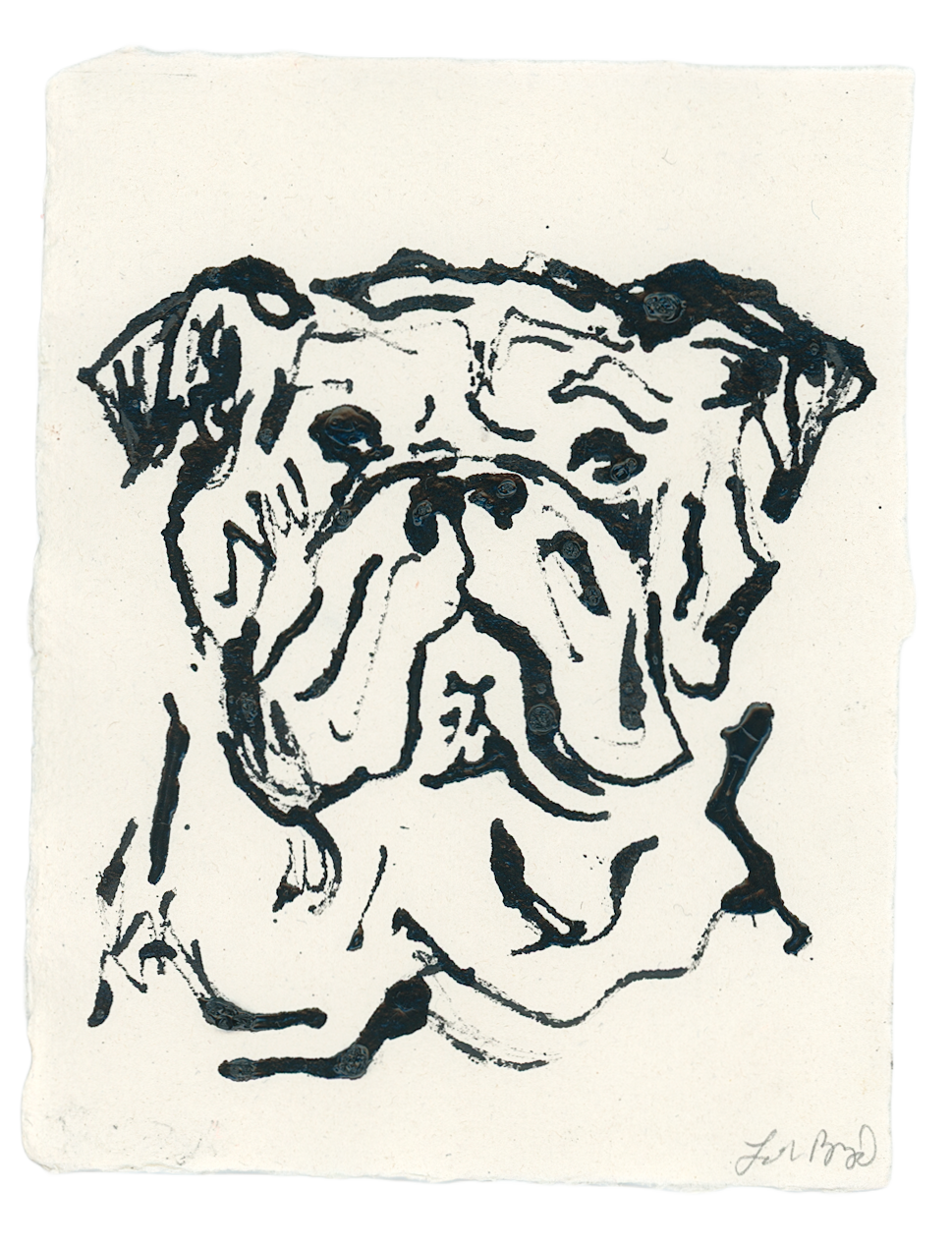 Acrylic Ink Dog no. 48 by Leah Boyd features a black ink drawing of a bulldog’s wrinkled face and floppy ears, crafted with loose, expressive lines. The artist’s signature is included; certificate of authenticity available.