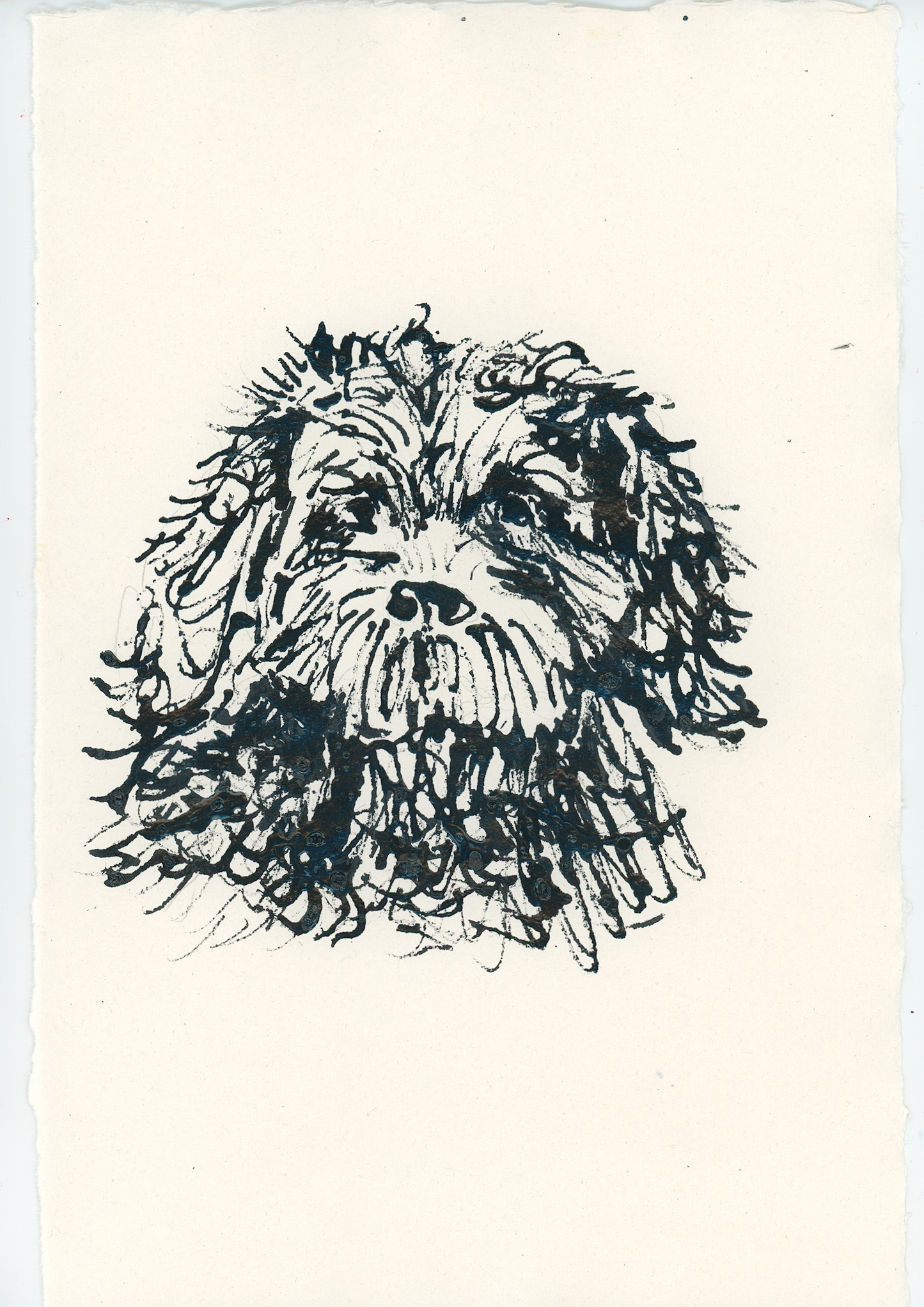 Acrylic Ink Dog no. 52 by Leah Boyd features a shaggy dog's head with expressive eyes and textured fur, created in loose, dynamic pen strokes on watercolor paper—ideal for custom dog art lovers.