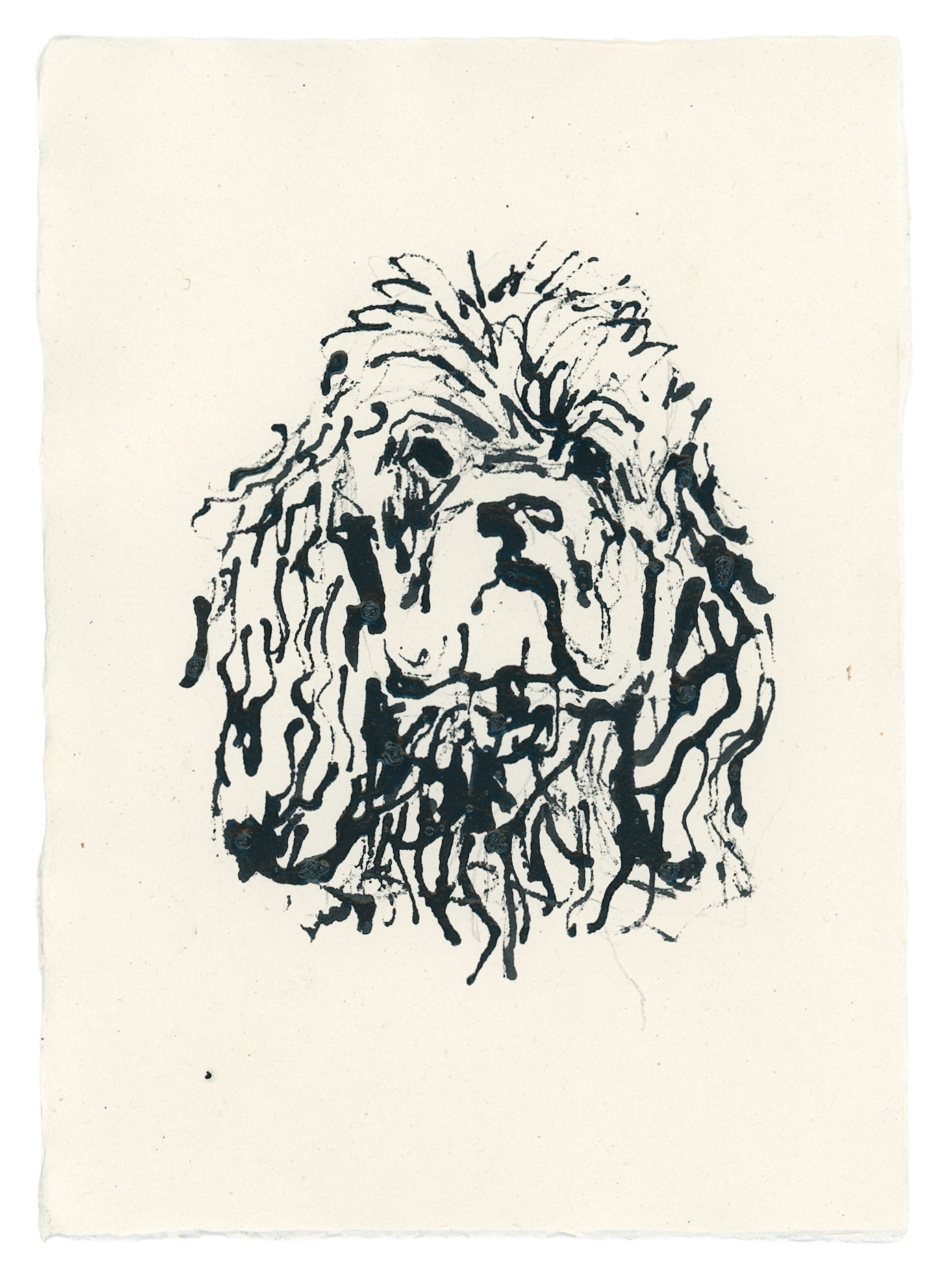 Acrylic Ink Dog no. 58 by Leah Boyd features a black ink sketch of a shaggy, long-haired dog with floppy ears and a calm expression, rendered in a loose, wavy style on textured watercolor paper. Created with meticulous care and attention to detail, this artwork comes with a certificate of authenticity.