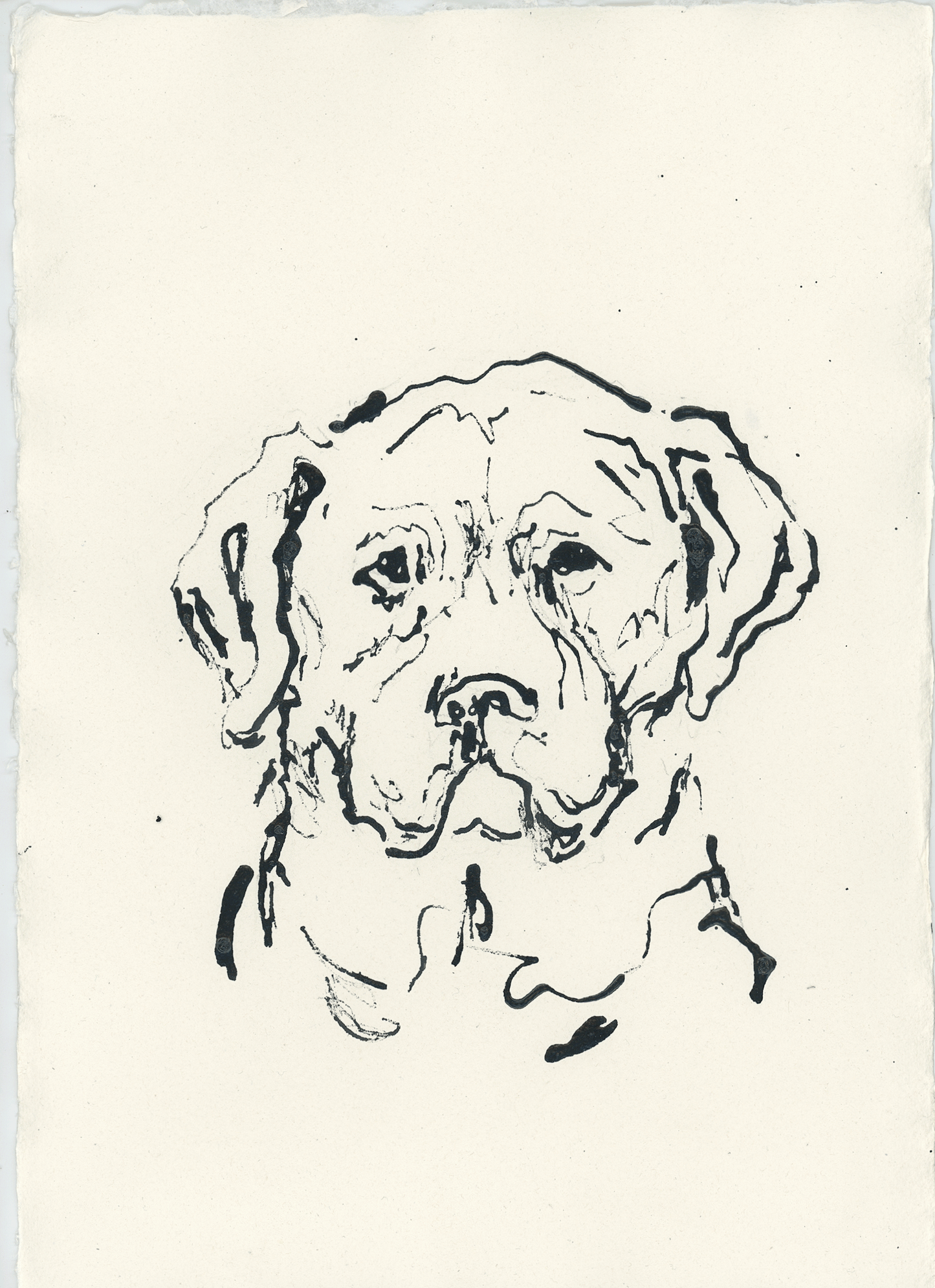 Acrylic Ink Dog no. 54 by Leah Boyd features a black ink sketch of a dog's face on white paper, drawn with loose, expressive lines. This personalized pet art highlights the dog’s large head, floppy ears, and gentle expression against a plain, unmarked background, making the acrylic ink portrait stand out beautifully. Each artwork comes with a certificate of authenticity to ensure its uniqueness.