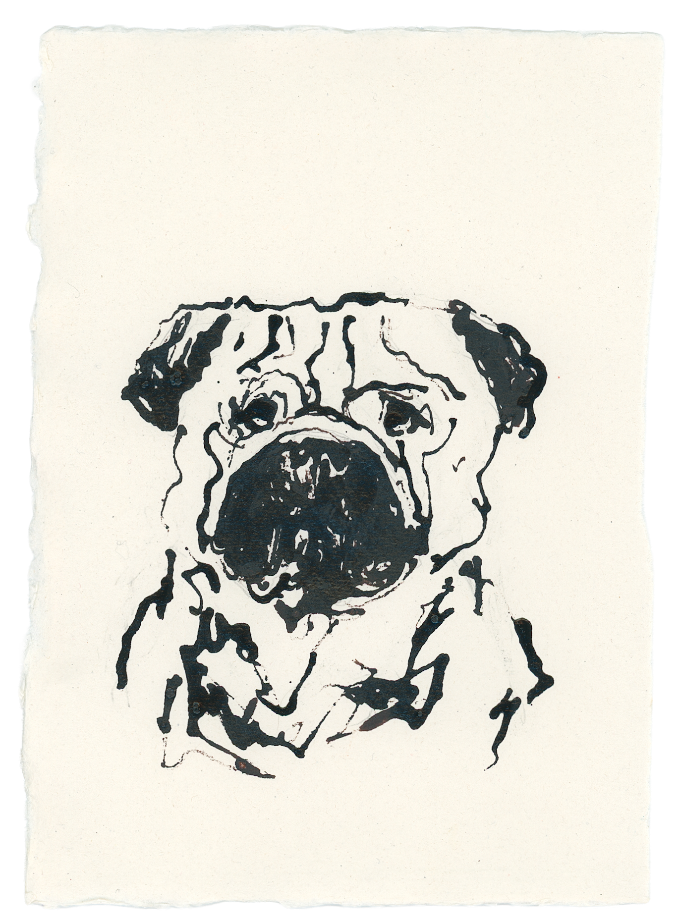 Acrylic Ink Dog no. 32 by Leah Boyd is a bold black ink sketch of a pug on off-white watercolor paper with rough edges, featuring loose lines that highlight the dog's wrinkled face—a unique custom portrait.