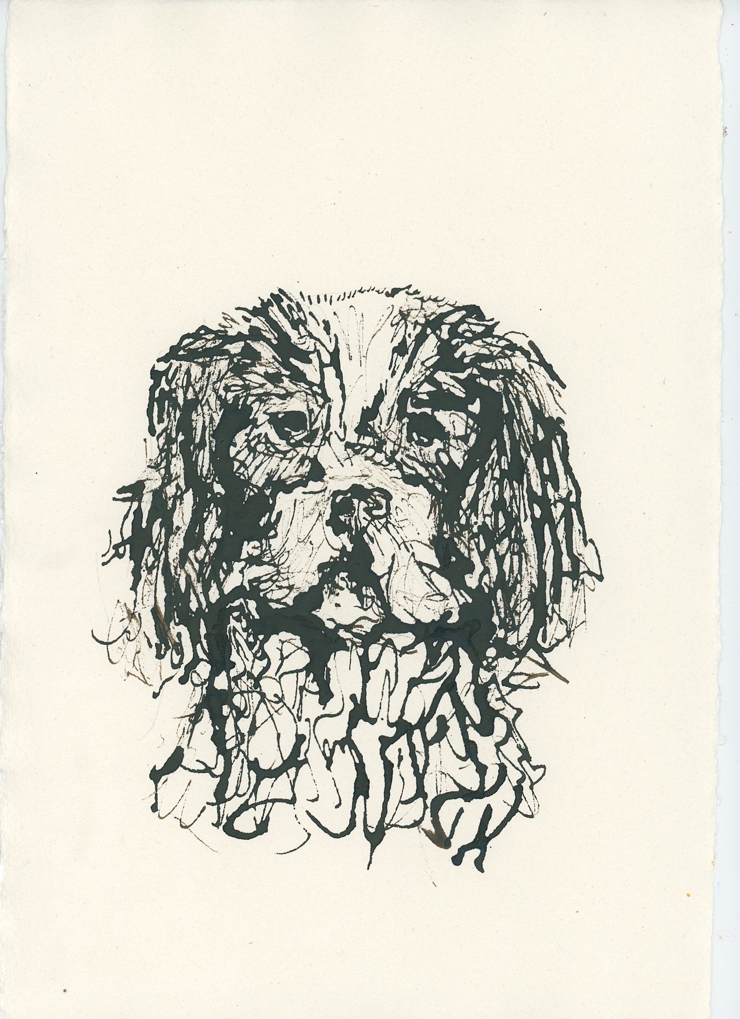 Acrylic Ink Dog no. 38 by Leah Boyd features a black ink sketch of a spaniel’s face with long, wavy fur and expressive eyes, drawn in a loose, scribbled style on off-white paper—a unique custom pet art piece for collectors.