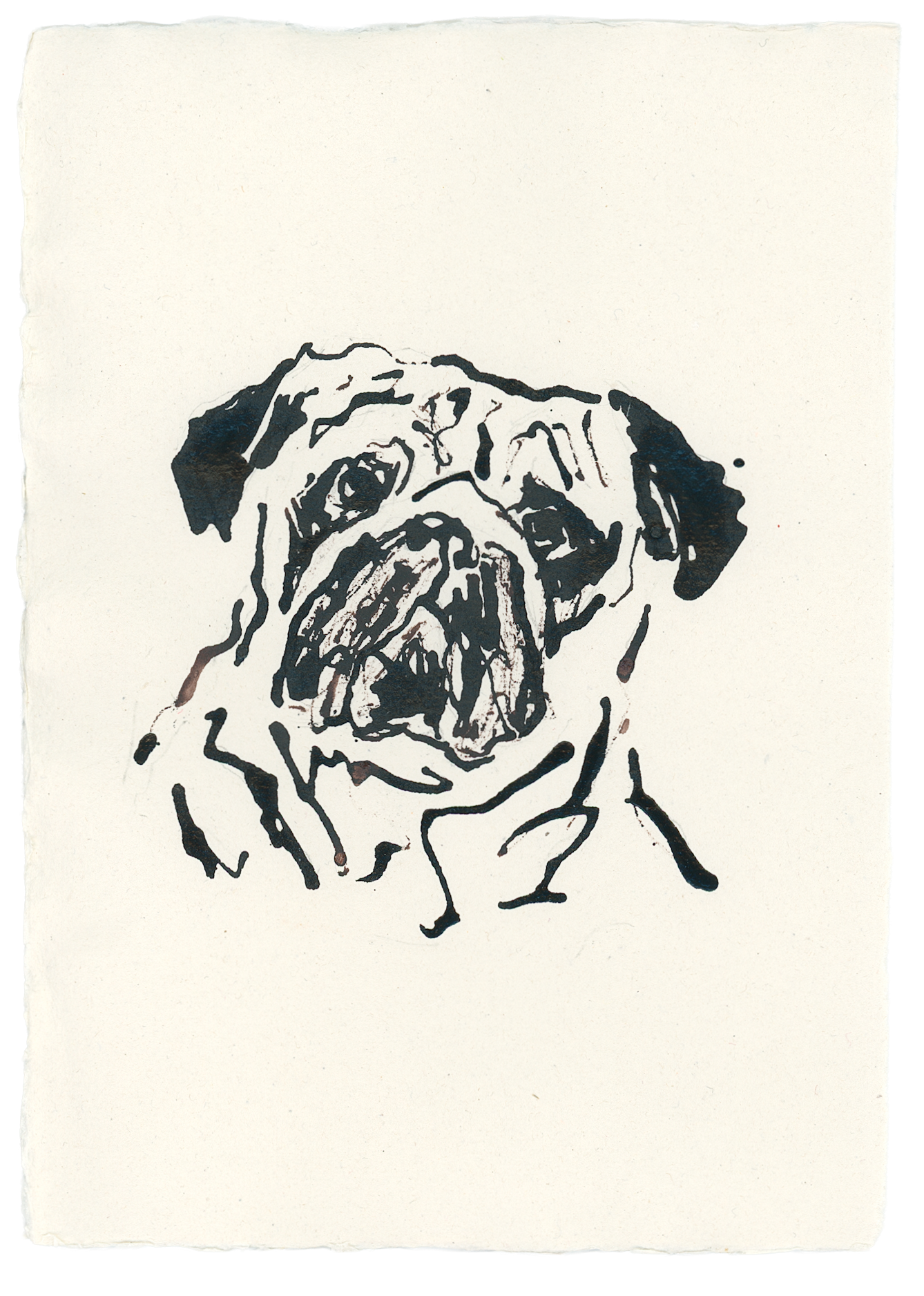 Acrylic Ink Dog no. 22 by Leah Boyd features a simple black ink line drawing of a pug’s face on textured white paper, capturing its wrinkled forehead, round eyes, and floppy ears with minimal detail.