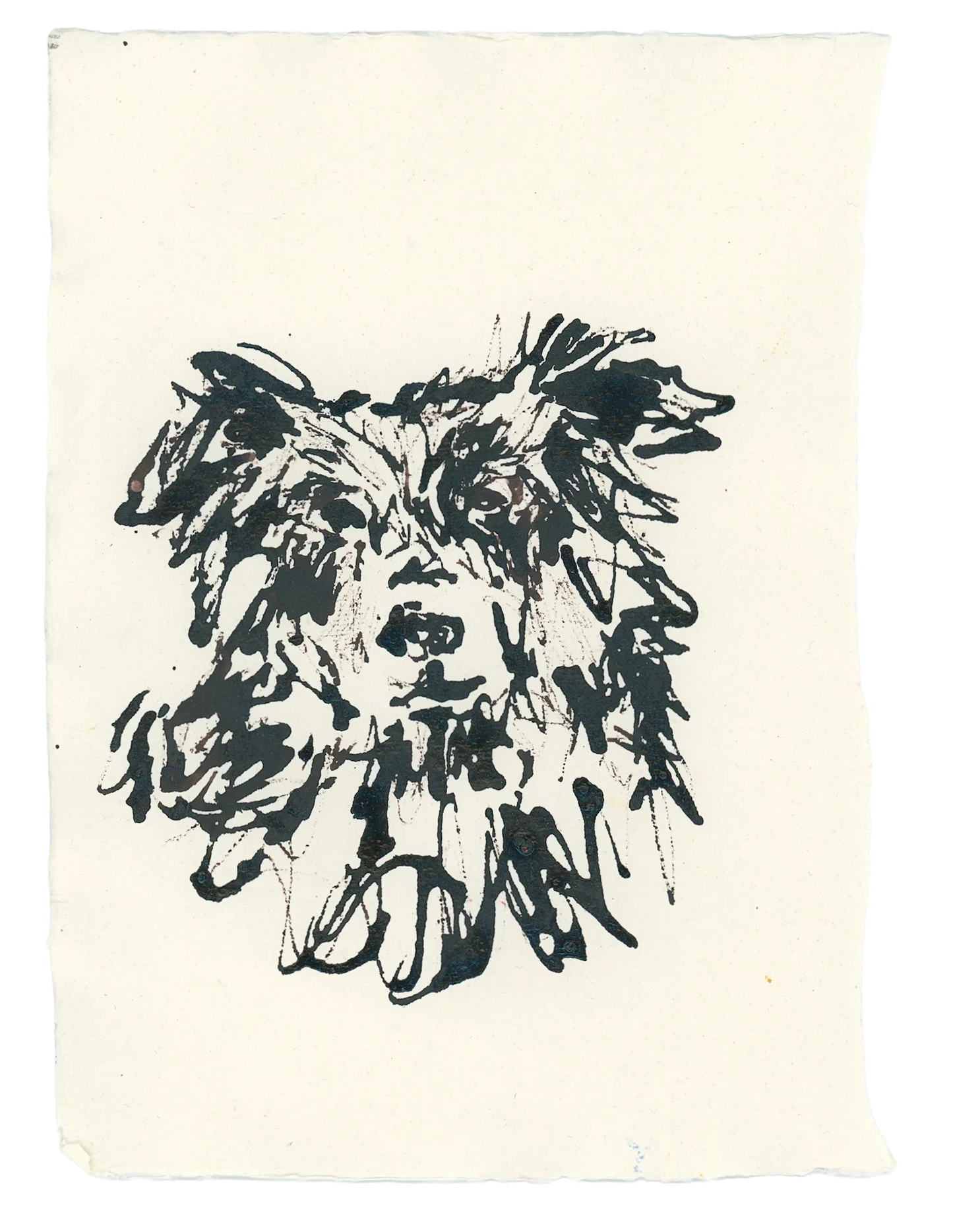 Acrylic Ink Dog no. 13 by Leah Boyd features expressive, textured black ink lines of a fluffy, pointed-eared dog on off-white, rough-edged paper—perfect for custom pet art collectors.