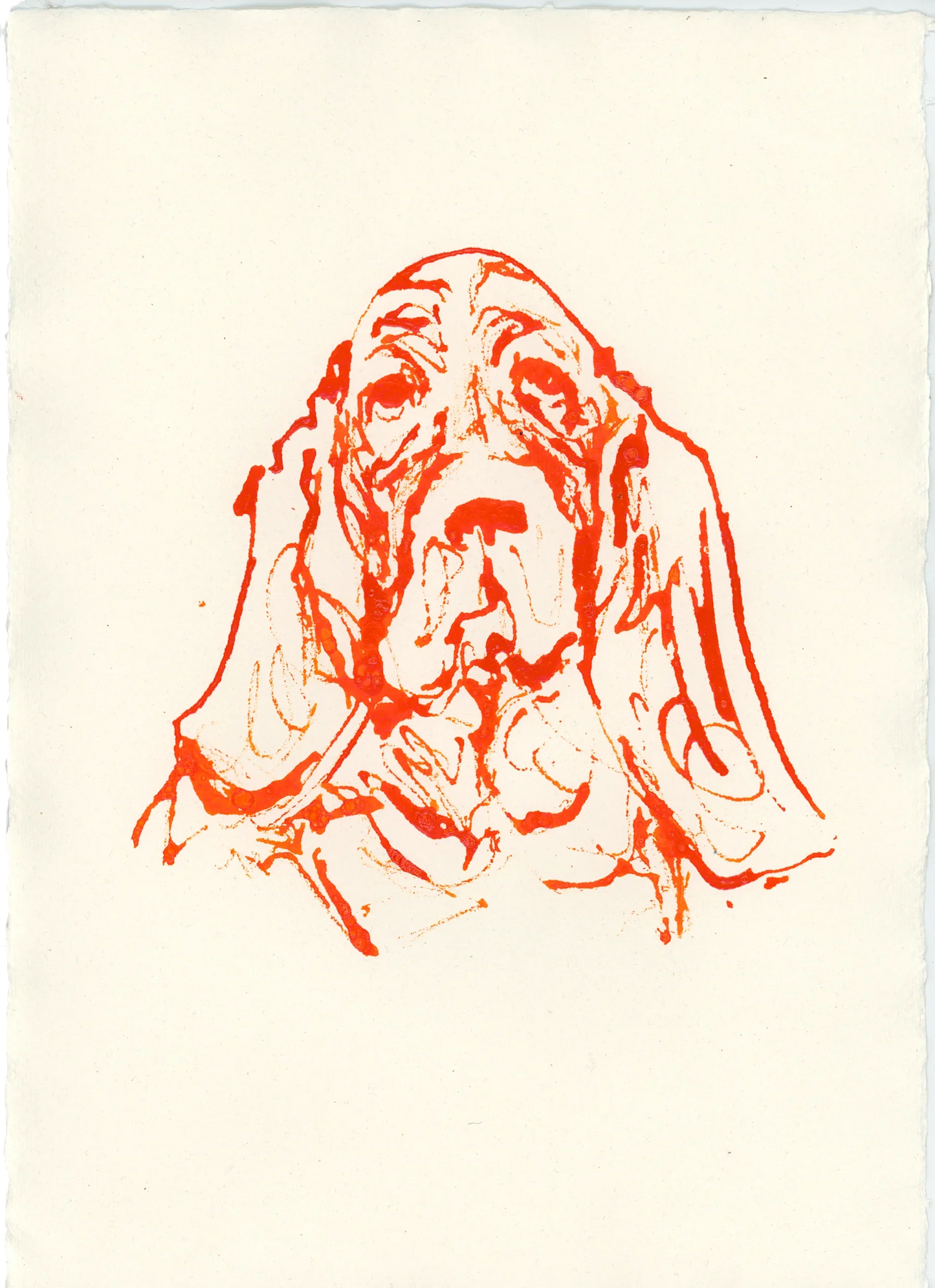 Acrylic Ink Dog no.21 by Leah Boyd: A loose red line sketch of a droopy-eared dog on off-white paper, featuring expressive minimalism that highlights the dog’s face and ears—ideal for custom dog art fans.