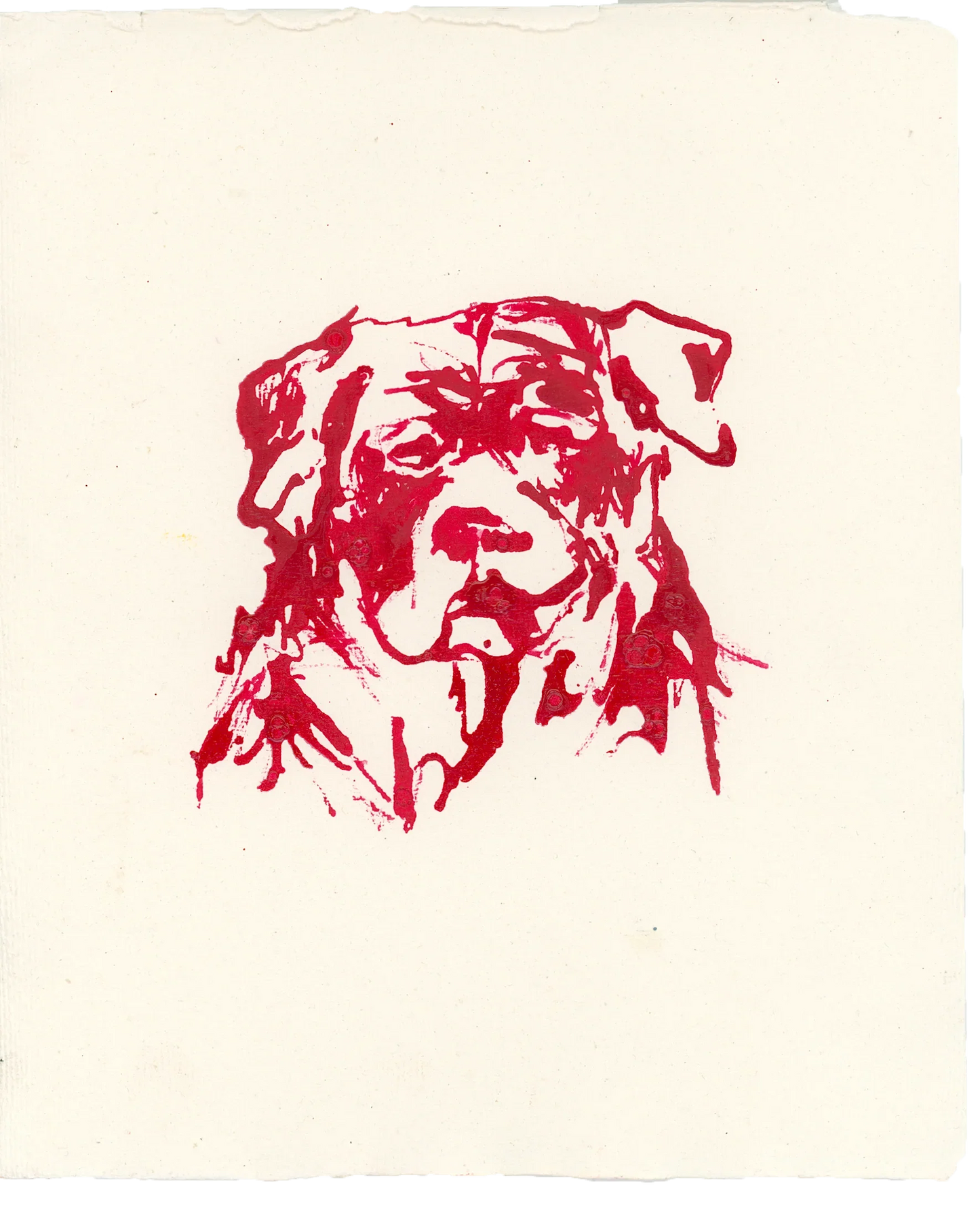 Acrylic Ink Dog no. 6 by Leah Boyd is a loose, expressive red ink portrait of a dog’s head on off-white textured paper, capturing a serious expression. Includes certificate of authenticity.