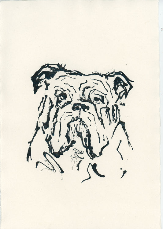 Acrylic Ink Dog no. 47 by Leah Boyd: Expressive black ink sketch of a bulldog’s face on off-white watercolor paper, highlighting distinctive wrinkles and droopy features; includes certificate of authenticity.