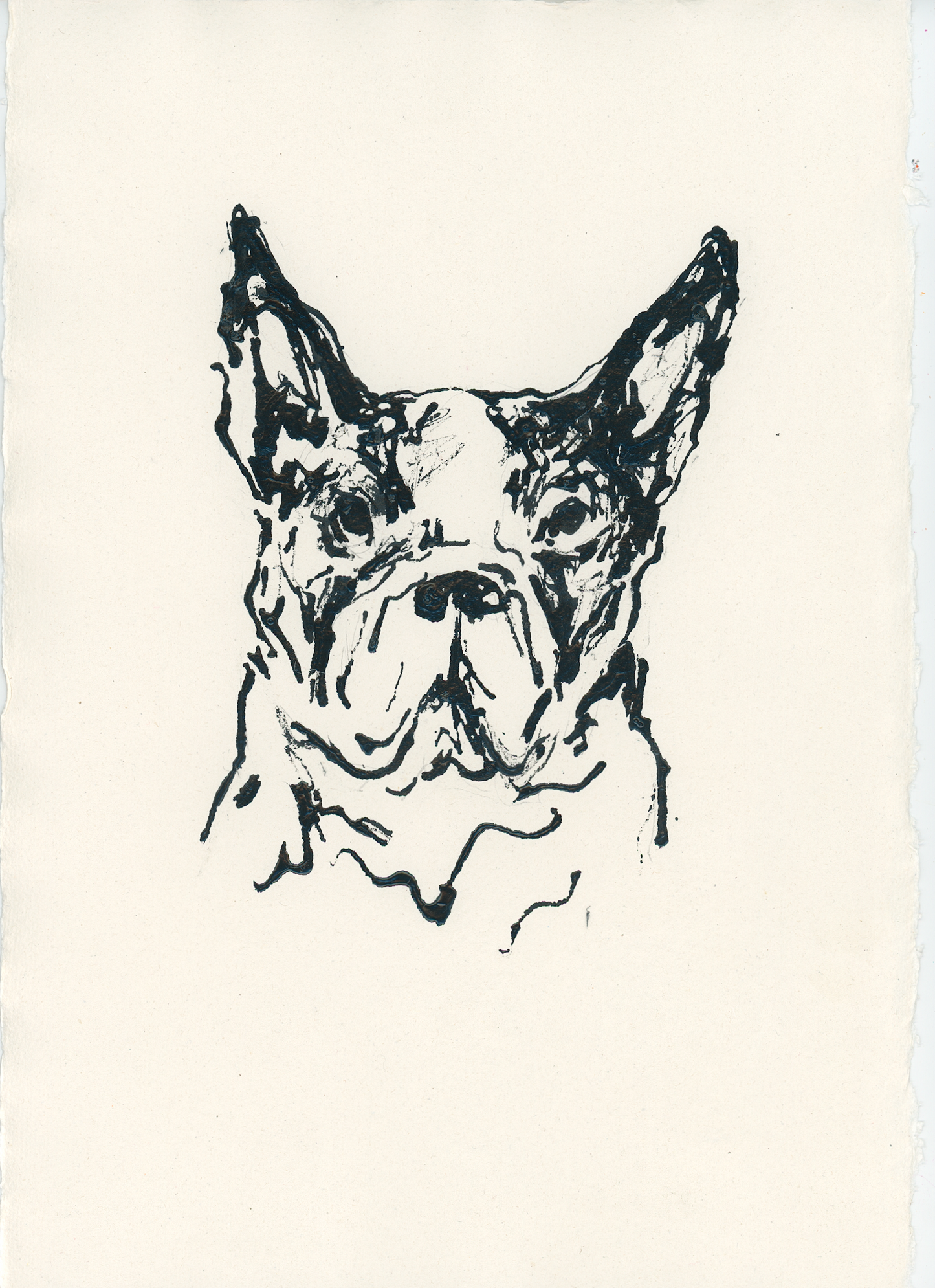 Acrylic Ink Dog no. 50 by Leah Boyd features a minimalist black ink sketch of a French Bulldog’s face with upright ears and a serious expression, drawn in loose lines on off-white watercolor paper.