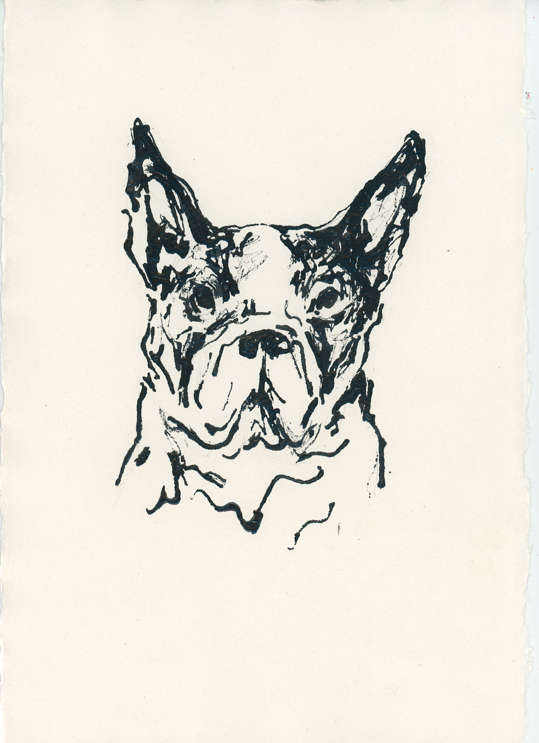 Acrylic Ink Dog no. 50 by Leah Boyd features a minimalist black ink sketch of a French Bulldog’s face with upright ears and a serious expression, drawn in loose lines on off-white watercolor paper.