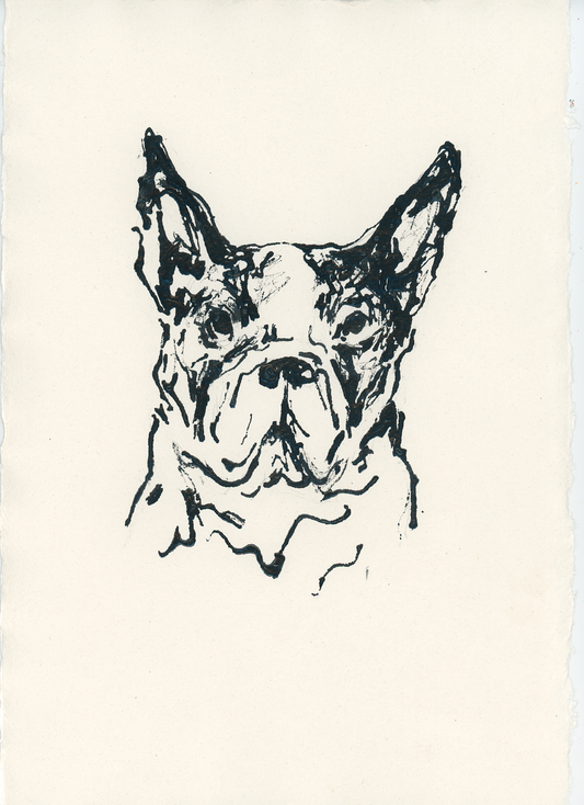 Acrylic Ink Dog no. 50 by Leah Boyd features a minimalist black ink sketch of a French Bulldog’s face with upright ears and a serious expression, drawn in loose lines on off-white watercolor paper.