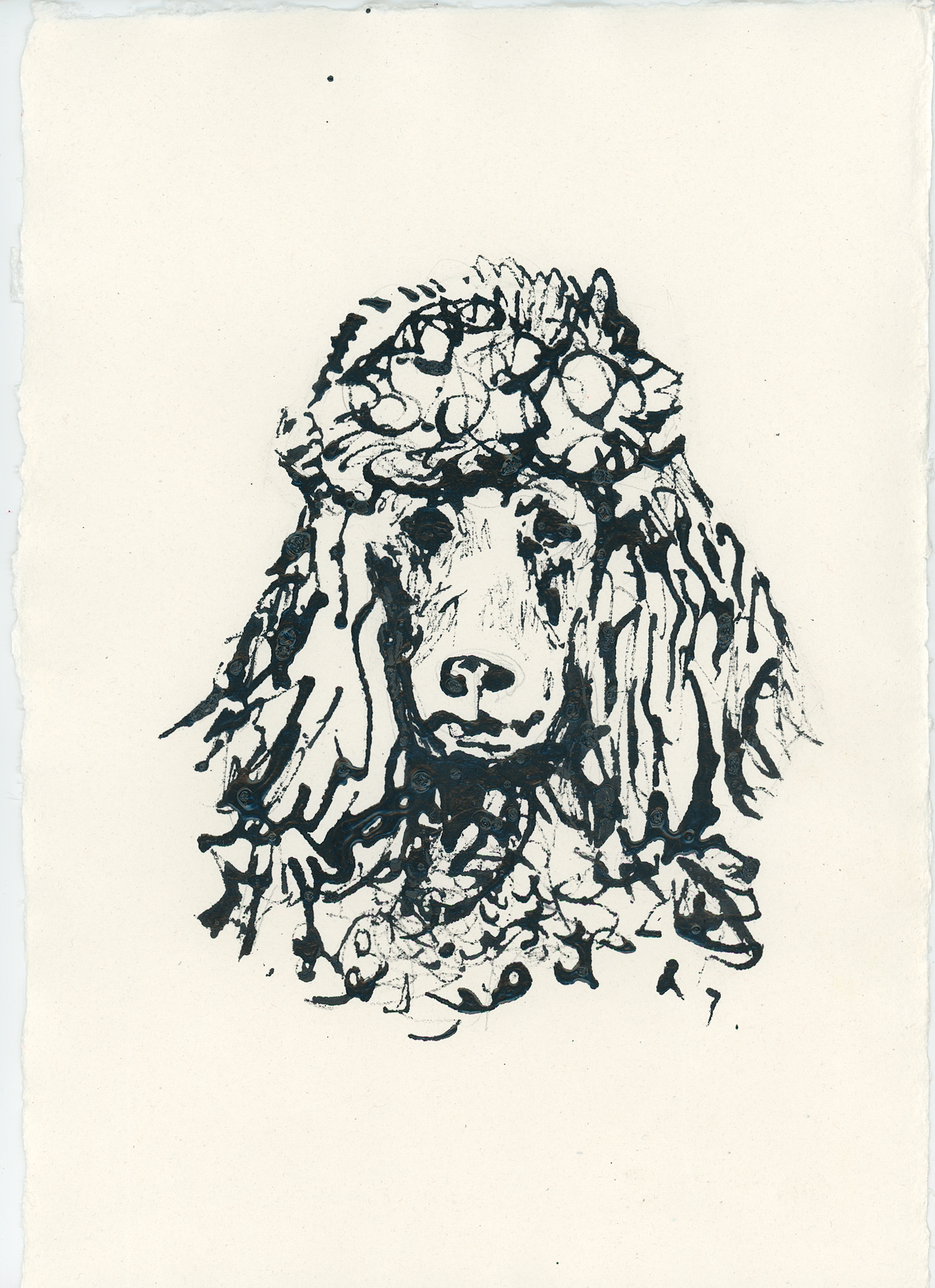 Acrylic Ink Dog no. 51 by Leah Boyd features a black ink sketch of a poodle with curly fur and long ears on textured off-white paper. This artistic pet portrait includes a certificate of authenticity—ideal for your home or as a thoughtful gift.