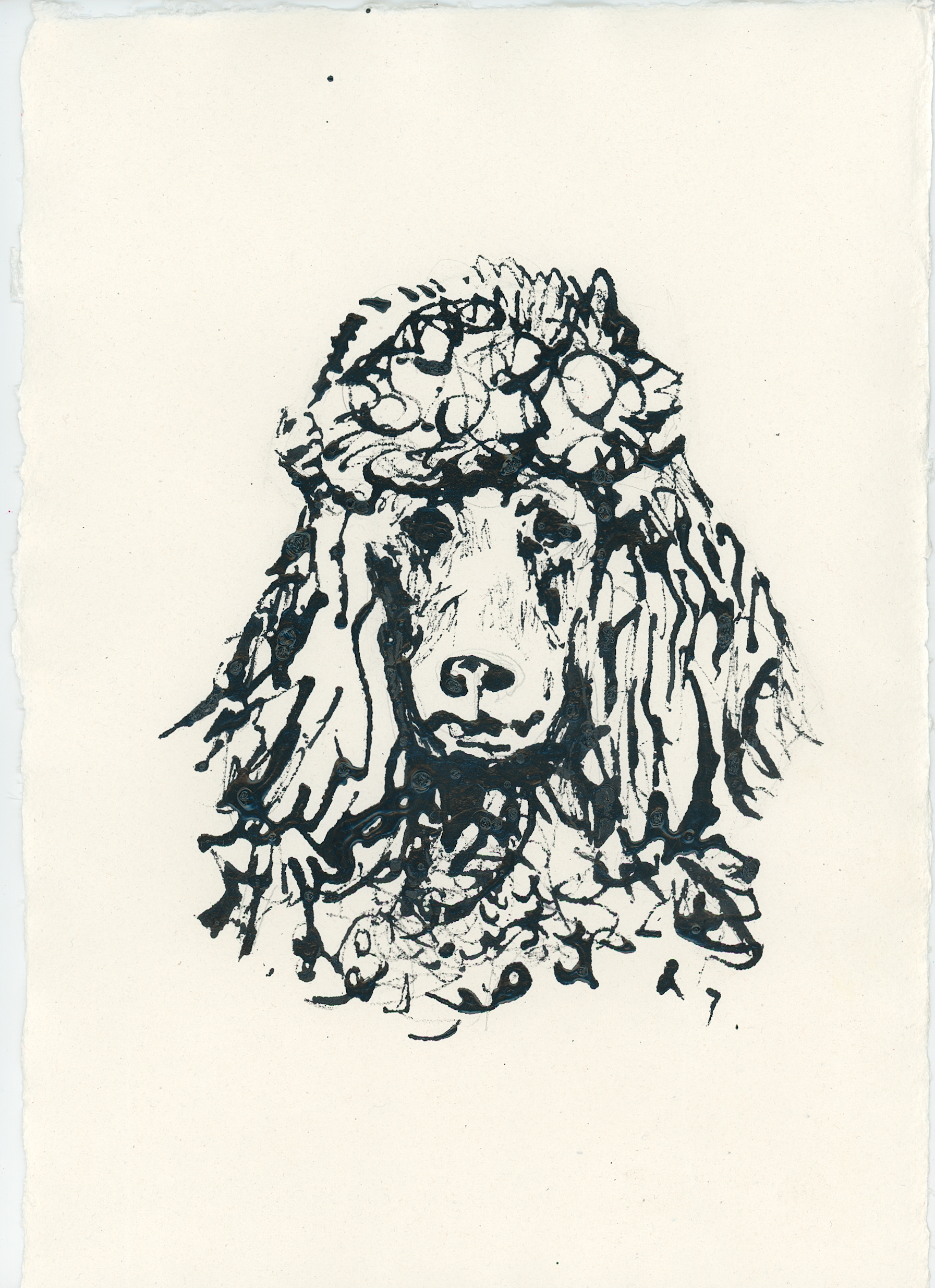 Acrylic Ink Dog no. 51 by Leah Boyd features a black ink sketch of a poodle with curly fur and long ears on textured off-white paper. This artistic pet portrait includes a certificate of authenticity—ideal for your home or as a thoughtful gift.
