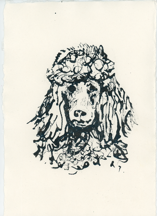 Acrylic Ink Dog no. 51 by Leah Boyd features a black ink sketch of a poodle with curly fur and long ears on textured off-white paper. This artistic pet portrait includes a certificate of authenticity—ideal for your home or as a thoughtful gift.