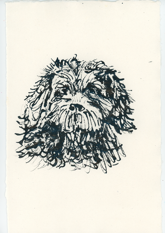 Acrylic Ink Dog no. 52 by Leah Boyd features a shaggy dog's head with expressive eyes and textured fur, created in loose, dynamic pen strokes on watercolor paper—ideal for custom dog art lovers.