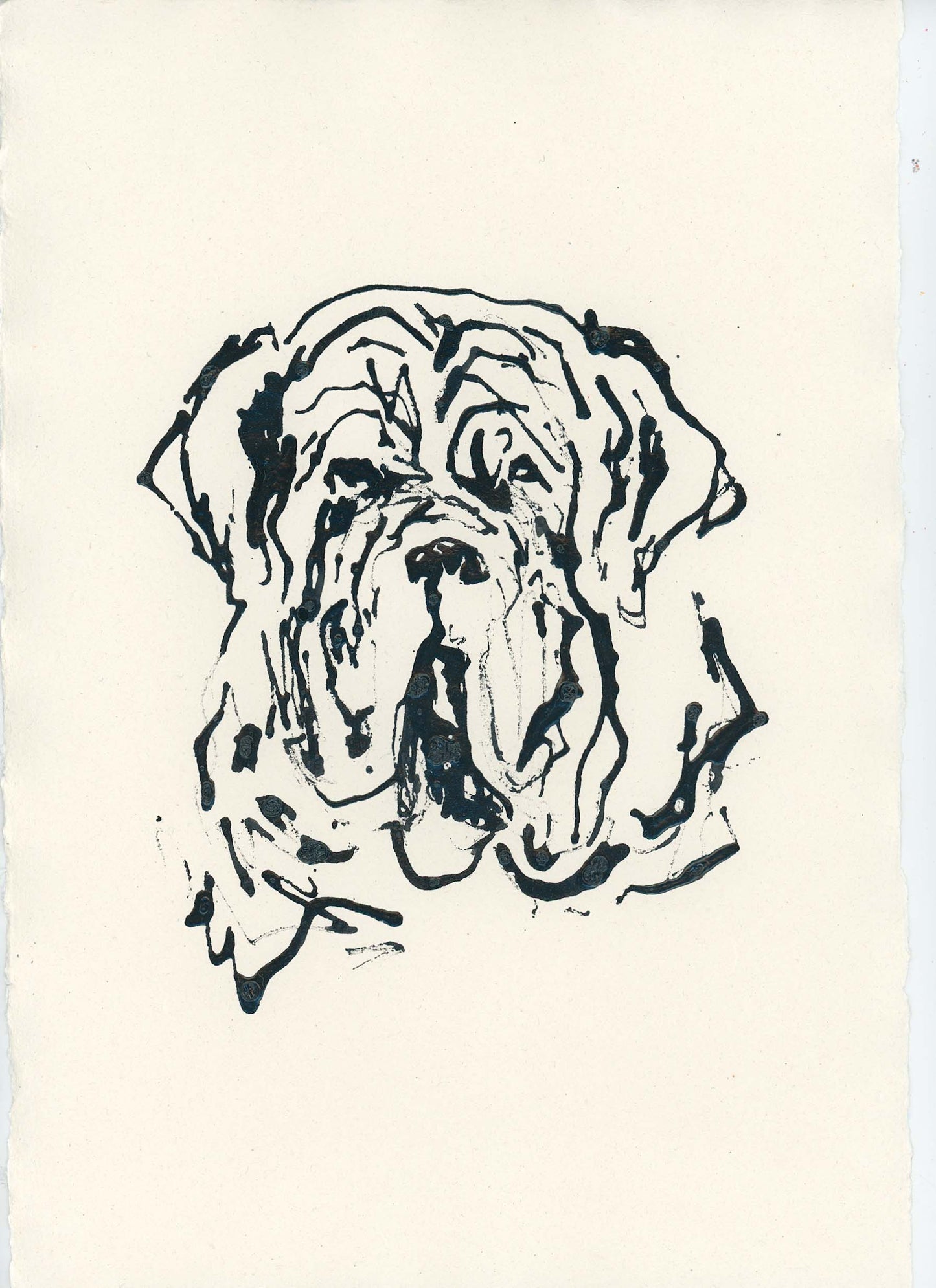 Acrylic Ink Dog no. 53 by Leah Boyd features a loose, expressive black ink line drawing of a wrinkled dog’s face—possibly a mastiff or bulldog—on off-white paper with rough edges. Bold, sketchy lines capture the unique personality found in custom pet art. This striking acrylic ink dog portrait comes with a certificate of authenticity.