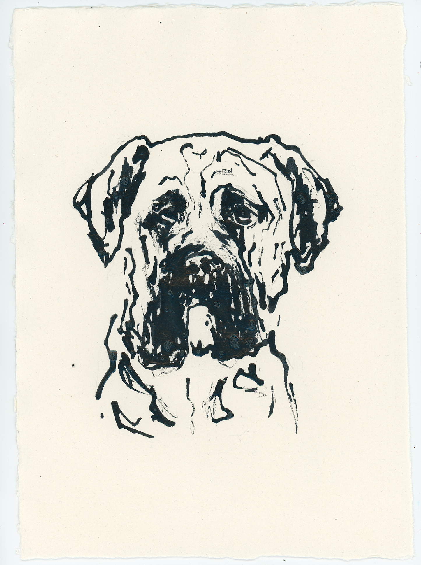 Acrylic Ink Dog no. 56 by Leah Boyd features a black ink drawing of a dog’s face, likely a mastiff or bulldog, rendered on off-white textured paper. The illustration uses bold lines to highlight the dog’s wrinkled expression and floppy ears—a refined piece of personalized dog art.