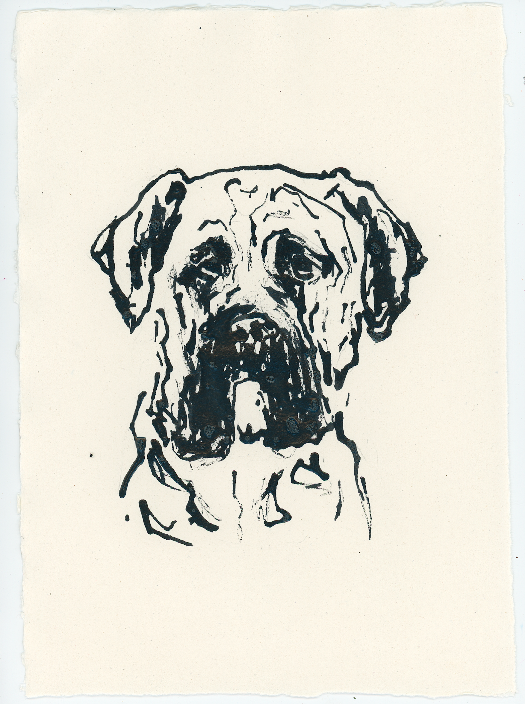 Acrylic Ink Dog no. 56 by Leah Boyd features a black ink drawing of a dog’s face, likely a mastiff or bulldog, rendered on off-white textured paper. The illustration uses bold lines to highlight the dog’s wrinkled expression and floppy ears—a refined piece of personalized dog art.