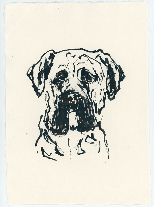 Acrylic Ink Dog no. 56 by Leah Boyd features a black ink drawing of a dog’s face, likely a mastiff or bulldog, rendered on off-white textured paper. The illustration uses bold lines to highlight the dog’s wrinkled expression and floppy ears—a refined piece of personalized dog art.