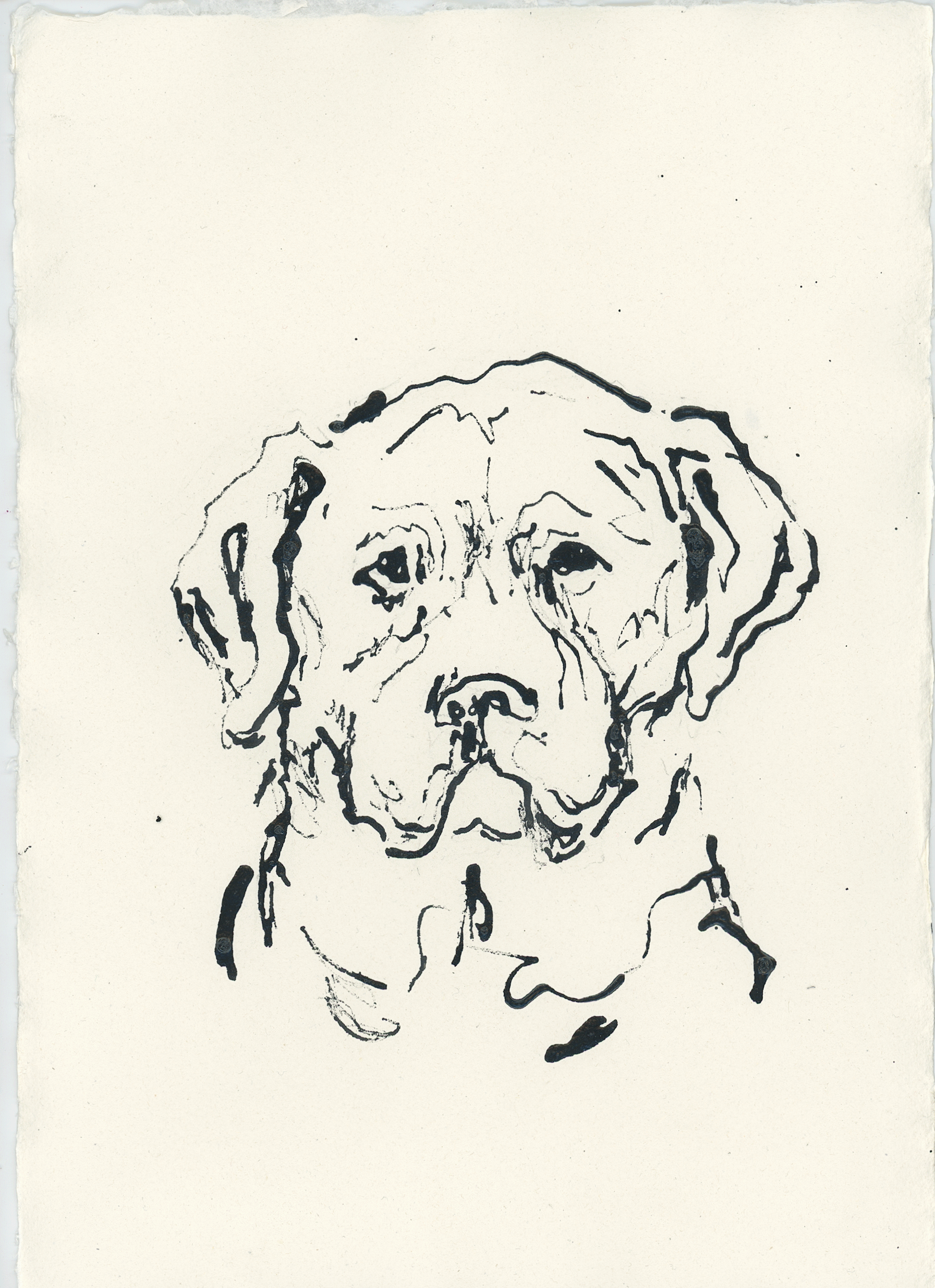 Acrylic Ink Dog no. 54 by Leah Boyd features a black ink sketch of a dog's face on white paper, drawn with loose, expressive lines. This personalized pet art highlights the dog’s large head, floppy ears, and gentle expression against a plain, unmarked background, making the acrylic ink portrait stand out beautifully. Each artwork comes with a certificate of authenticity to ensure its uniqueness.