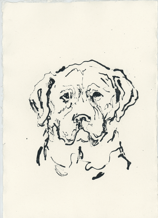 Acrylic Ink Dog no. 54 by Leah Boyd features a black ink sketch of a dog's face on white paper, drawn with loose, expressive lines. This personalized pet art highlights the dog’s large head, floppy ears, and gentle expression against a plain, unmarked background, making the acrylic ink portrait stand out beautifully. Each artwork comes with a certificate of authenticity to ensure its uniqueness.