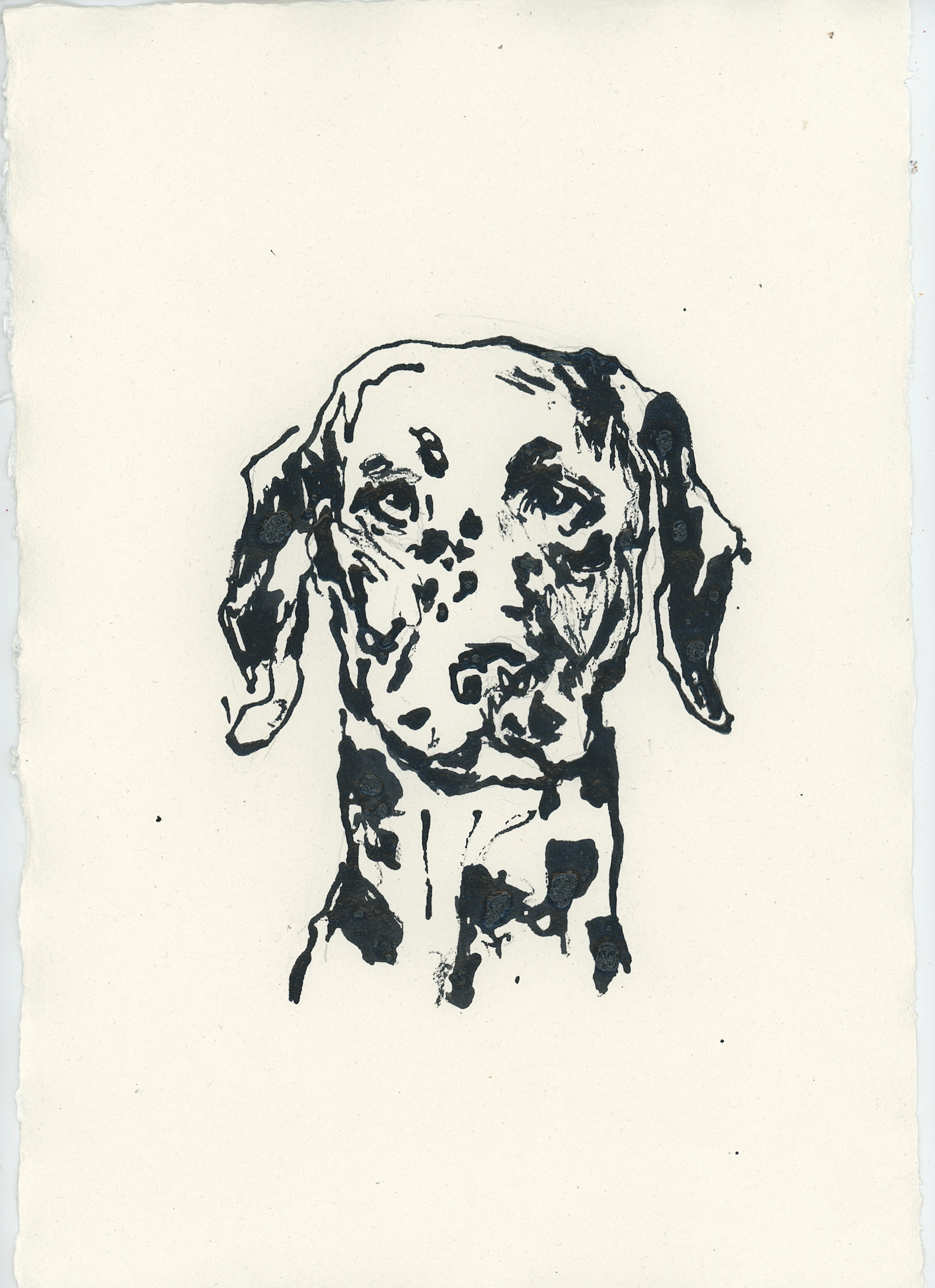 Acrylic Ink Dog no. 57 by Leah Boyd features a black ink illustration of a Dalmatian dog’s head and upper chest on white textured watercolor paper, highlighting its signature spots and floppy ears. The plain, unadorned background accentuates this custom dog art, serving as a striking tribute to the breed’s unique charm.