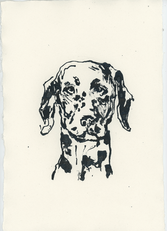 Acrylic Ink Dog no. 57 by Leah Boyd features a black ink illustration of a Dalmatian dog’s head and upper chest on white textured watercolor paper, highlighting its signature spots and floppy ears. The plain, unadorned background accentuates this custom dog art, serving as a striking tribute to the breed’s unique charm.