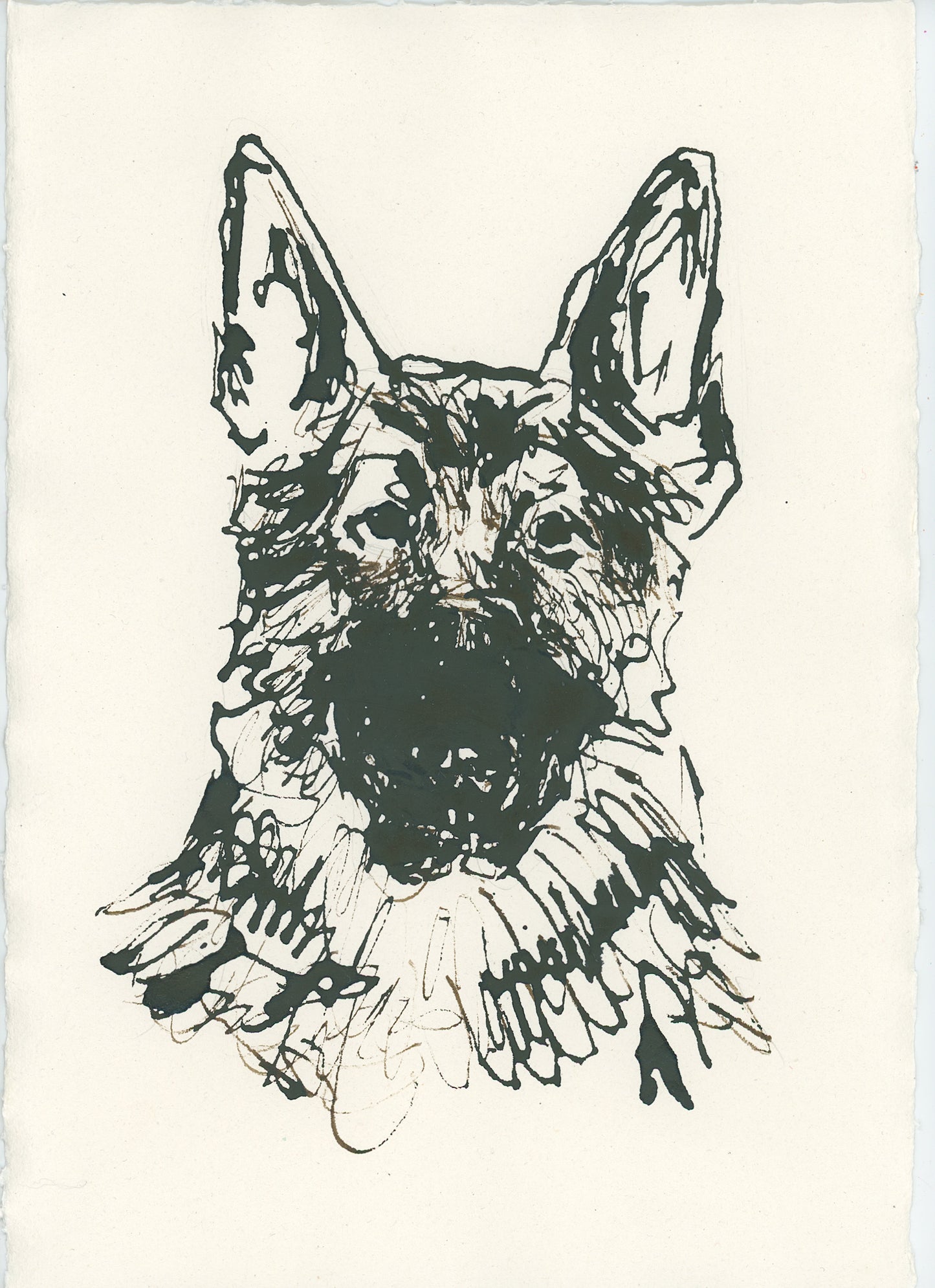 Acrylic Ink Dog no. 43 by Leah Boyd features a line drawing of a German Shepherd's head and shoulders in acrylic ink on off-white paper, with bold ears and textured fur—ideal for custom dog art enthusiasts.