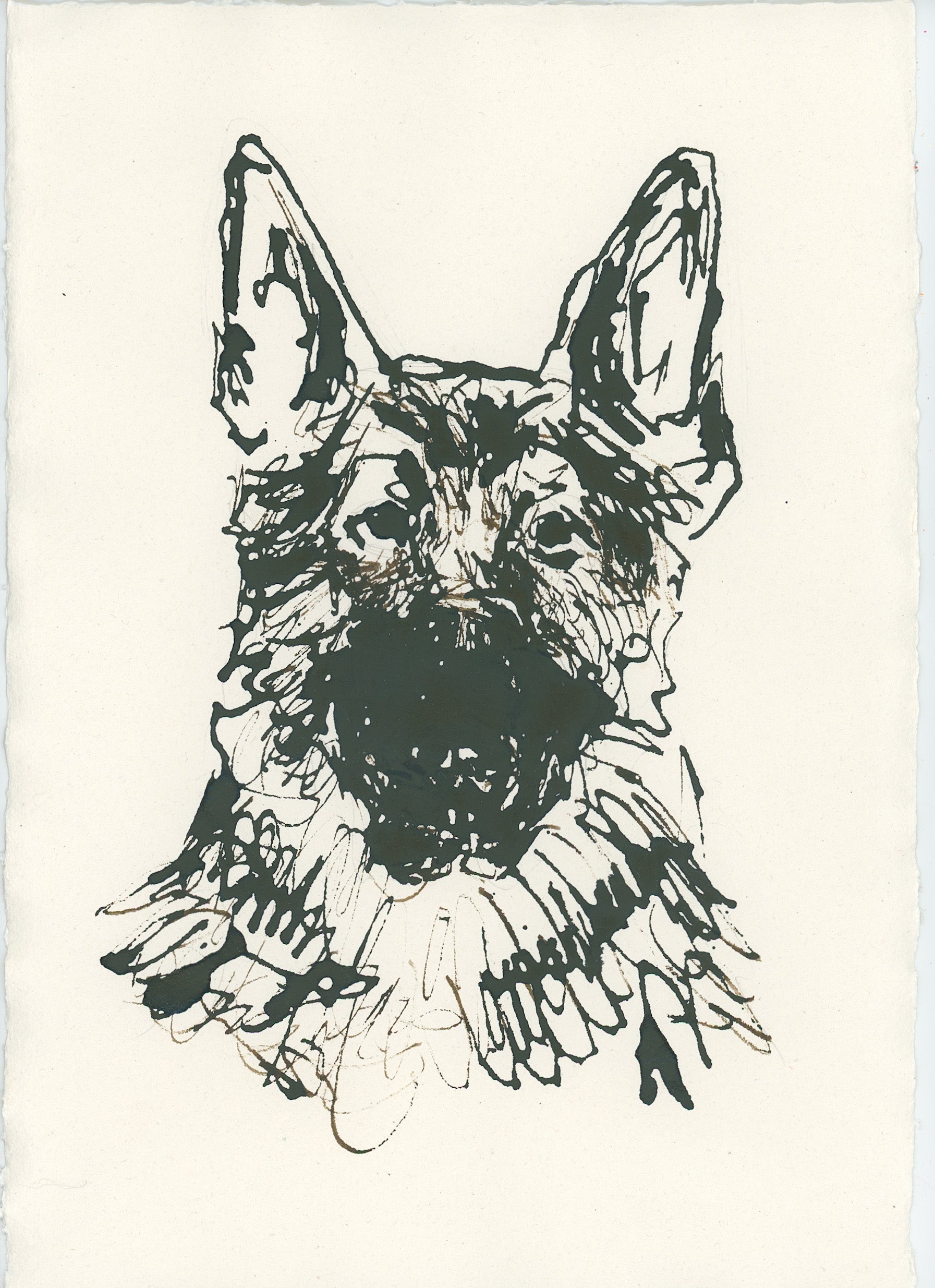 Acrylic Ink Dog no. 43 by Leah Boyd features a line drawing of a German Shepherd's head and shoulders in acrylic ink on off-white paper, with bold ears and textured fur—ideal for custom dog art enthusiasts.