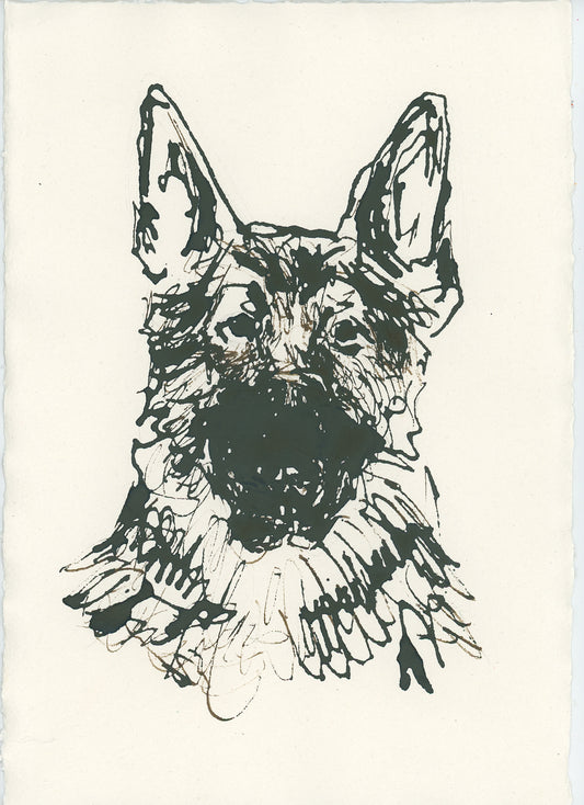 Acrylic Ink Dog no. 43 by Leah Boyd features a line drawing of a German Shepherd's head and shoulders in acrylic ink on off-white paper, with bold ears and textured fur—ideal for custom dog art enthusiasts.
