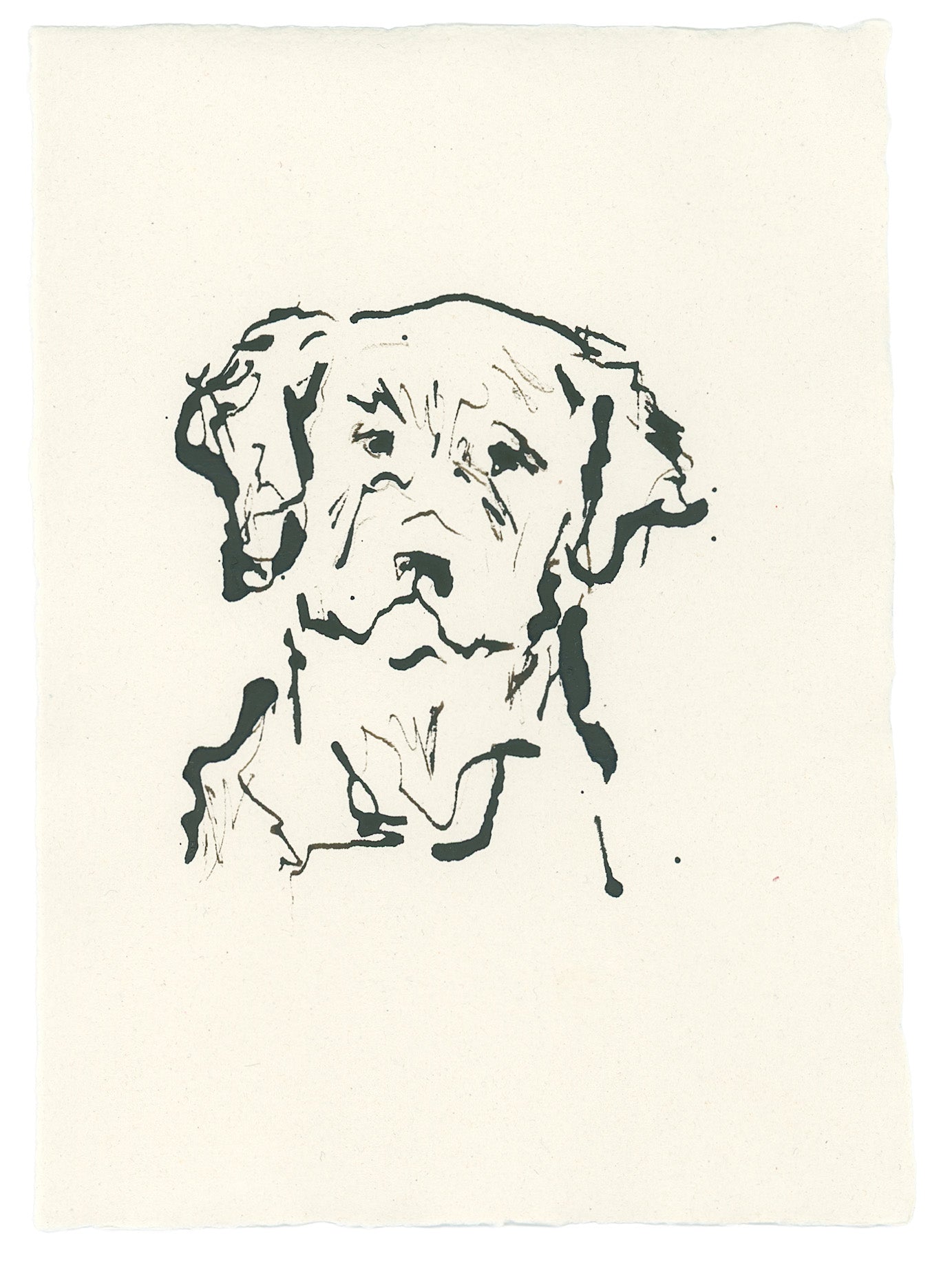 Acrylic Ink Dog no. 45 by Leah Boyd features a minimalist black ink drawing of a dog's face on off-white textured paper, using abstract, sketchy lines for simple, personalized dog art with ample blank space.