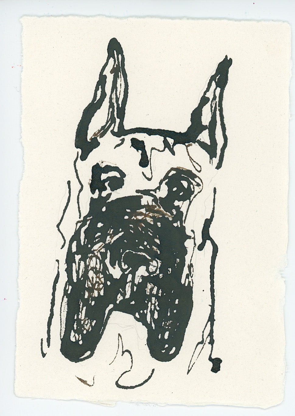 Acrylic Ink Dog no. 44 by Leah Boyd features a black ink line drawing of a dog’s face with upright ears and textured shading on rough-edged white paper—ideal for unique custom pet art or as a striking dog portrait.