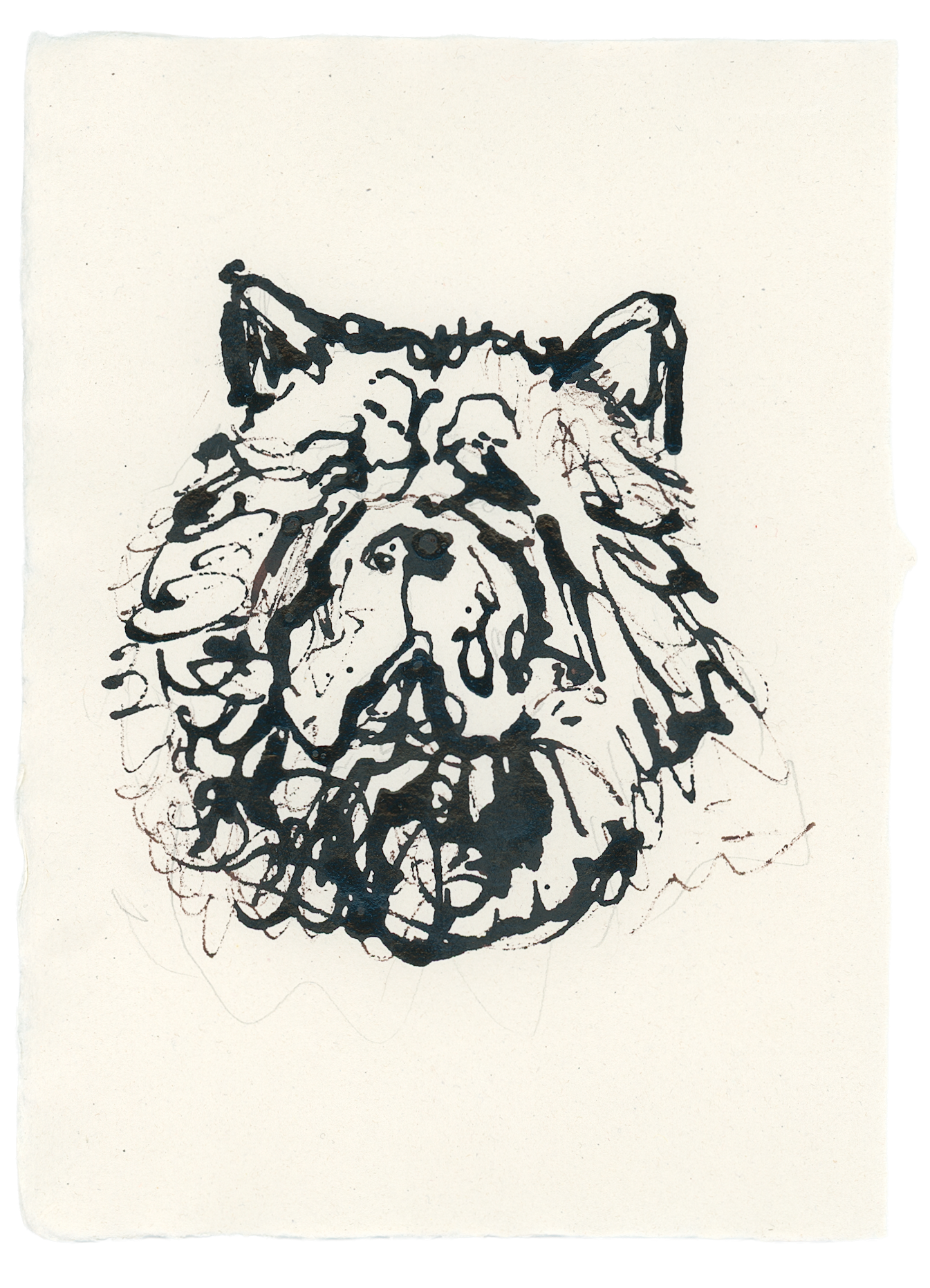 Acrylic Ink Dog no. 33 by Leah Boyd: a loose, black acrylic ink portrait of a wrinkled dog with pointed ears on textured white paper. This abstract sketch’s expressive, uneven lines are ideal for custom dog art lovers.