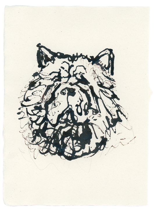 Acrylic Ink Dog no. 33 by Leah Boyd: a loose, black acrylic ink portrait of a wrinkled dog with pointed ears on textured white paper. This abstract sketch’s expressive, uneven lines are ideal for custom dog art lovers.