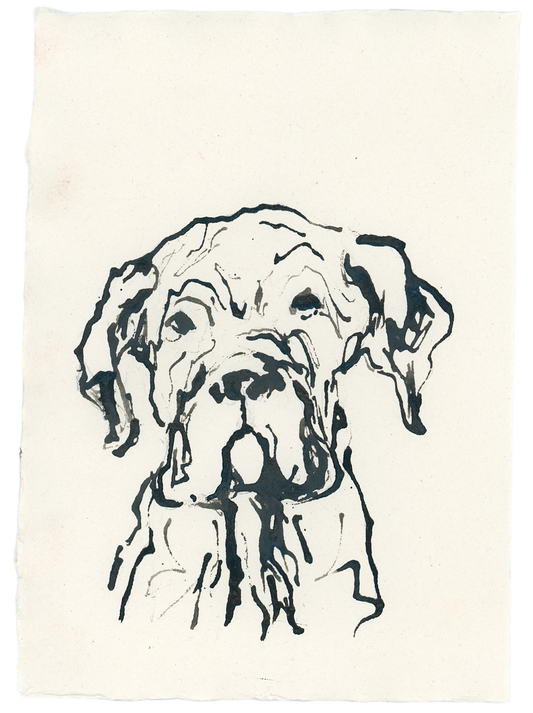 Acrylic Ink Dog no. 31 by Leah Boyd features a black ink line drawing of a dog with droopy ears and jowls on off-white watercolor paper, capturing the calm dog's attentive expression in a loose, sketchy acrylic ink style.