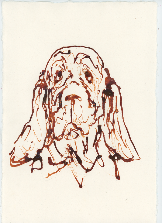 Acrylic Ink Dog no. 27 by Leah Boyd: Loose, brown acrylic ink drawing of a droopy-eared dog on off-white watercolor paper. Expressive, unfinished lines and a soulful expression. Includes certificate of authenticity.