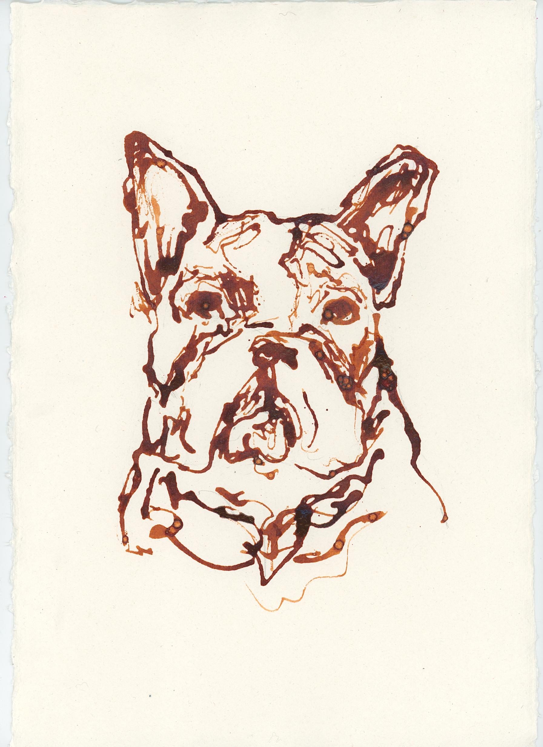Acrylic Ink Dog no. 24 by Leah Boyd features a loose, sketch-style French Bulldog face in brown acrylic ink on off-white watercolor paper. Expressive lines highlight its features. Includes certificate of authenticity.