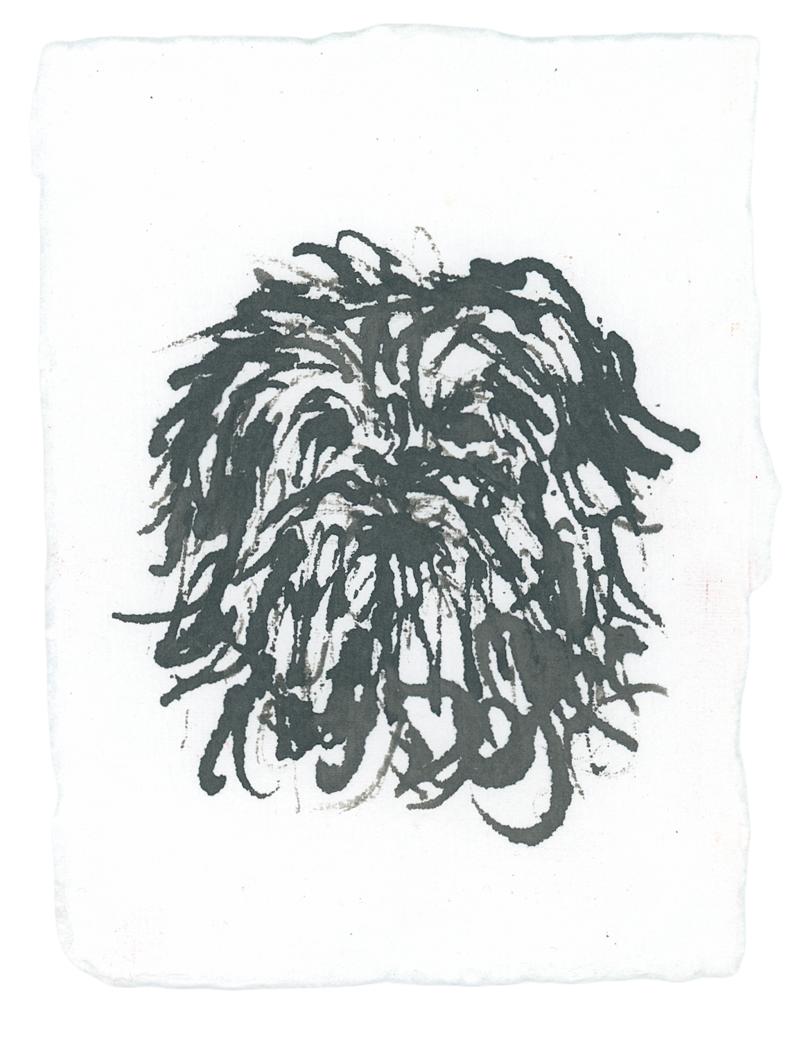 Acrylic Ink Dog no.36 by Leah Boyd: A black ink drawing of a shaggy dog with long, textured fur covering its face on white watercolor paper—unique custom pet art perfect for dog lovers.