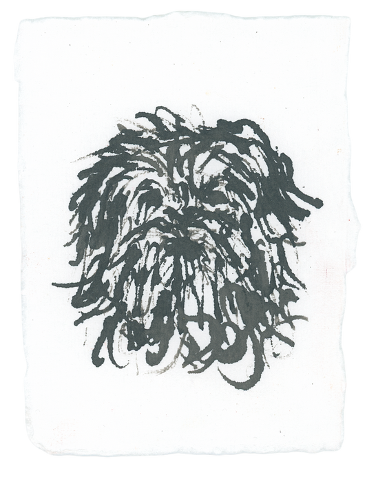 Acrylic Ink Dog no.36 by Leah Boyd: A black ink drawing of a shaggy dog with long, textured fur covering its face on white watercolor paper—unique custom pet art perfect for dog lovers.