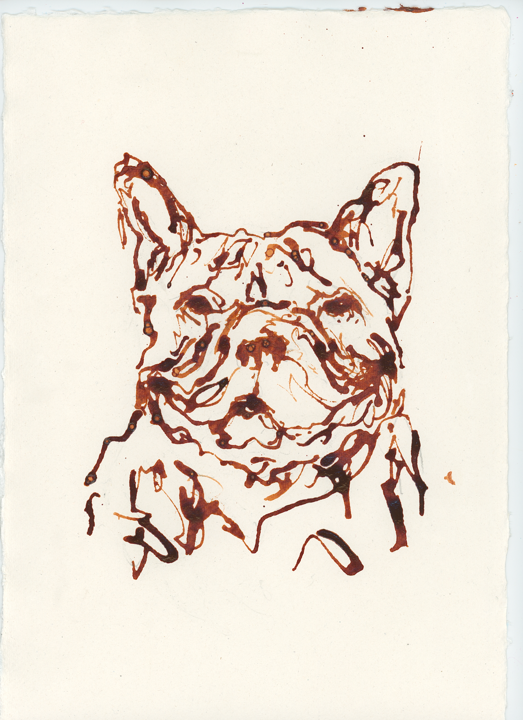 Acrylic Ink Dog no. 26 by Leah Boyd is a minimalist brown ink drawing of a French bulldog’s face and upper body on textured watercolor paper, featuring prominent ears, expressive eyes, and includes a certificate of authenticity.