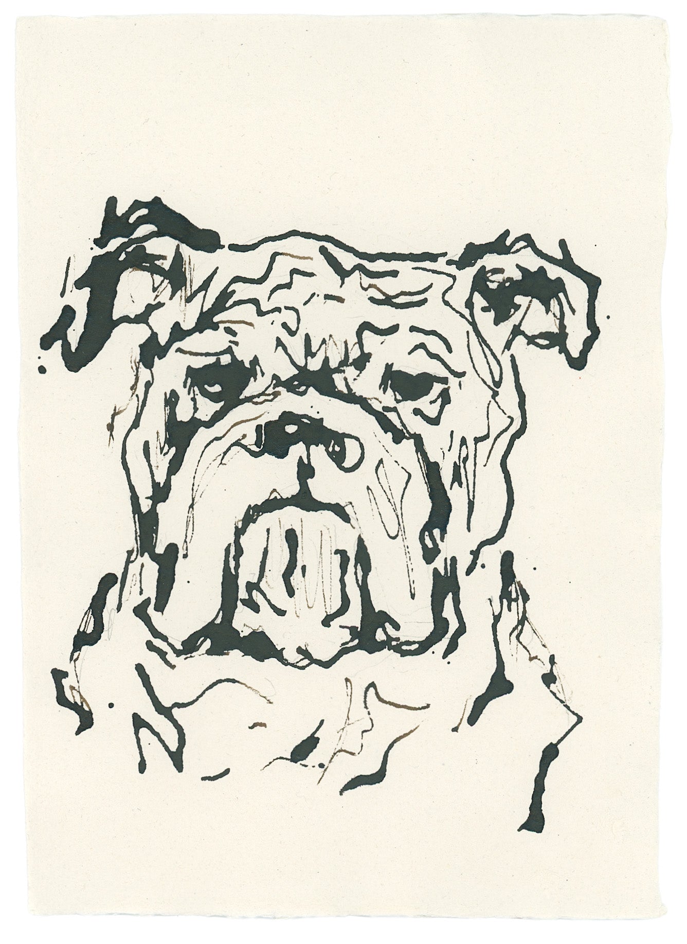 Acrylic Ink Dog no. 40 by Leah Boyd features a black line drawing of a bulldog’s face on off-white, capturing its wrinkled features and droopy ears—an expressive, minimal portrait ideal as custom dog art for any space.