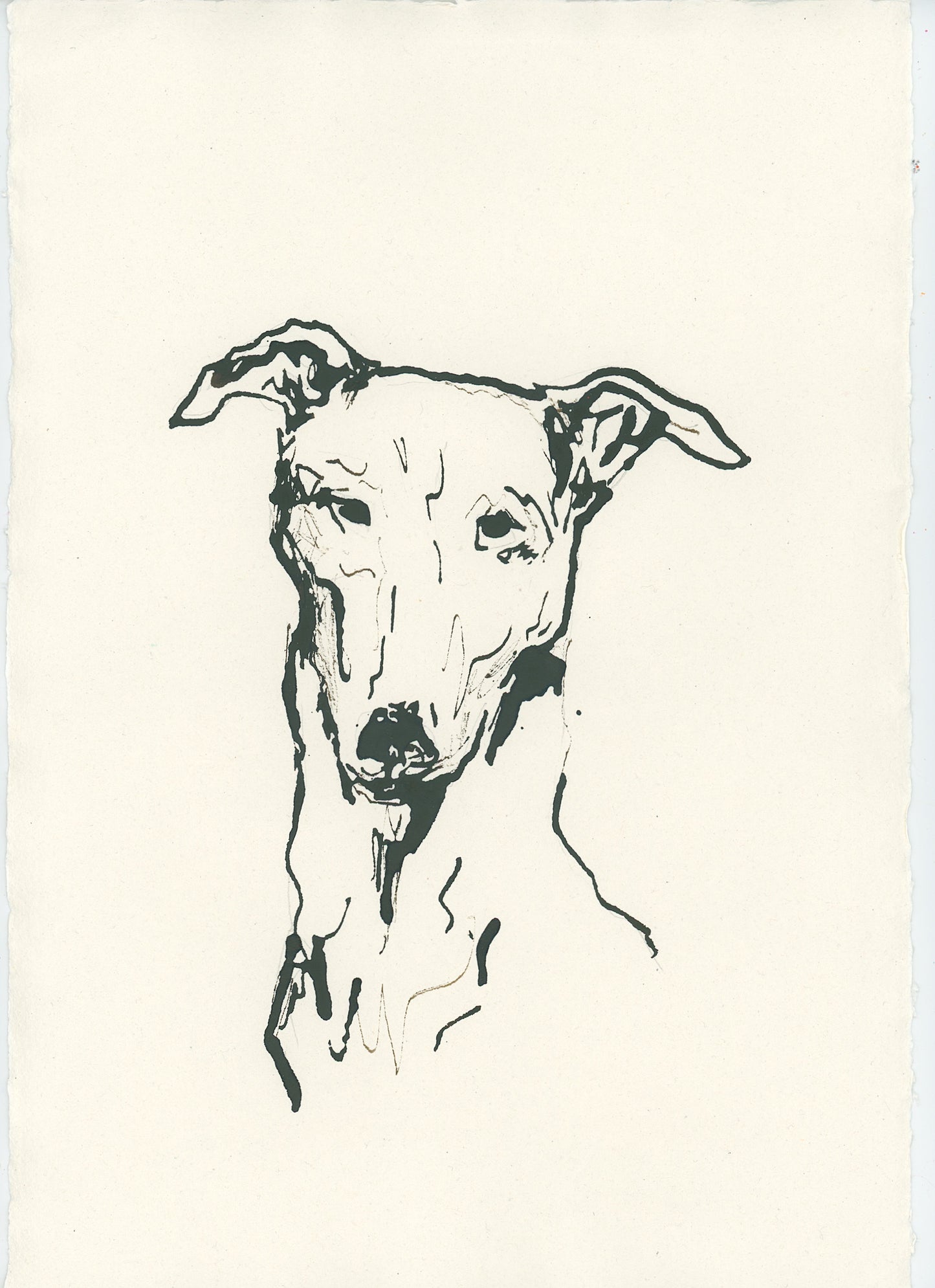 Acrylic Ink Dog no. 42 by Leah Boyd features a minimalist black ink sketch of a greyhound with upright ears and a long neck on off-white textured paper. This custom pet art includes expressive lines and comes with a certificate of authenticity.