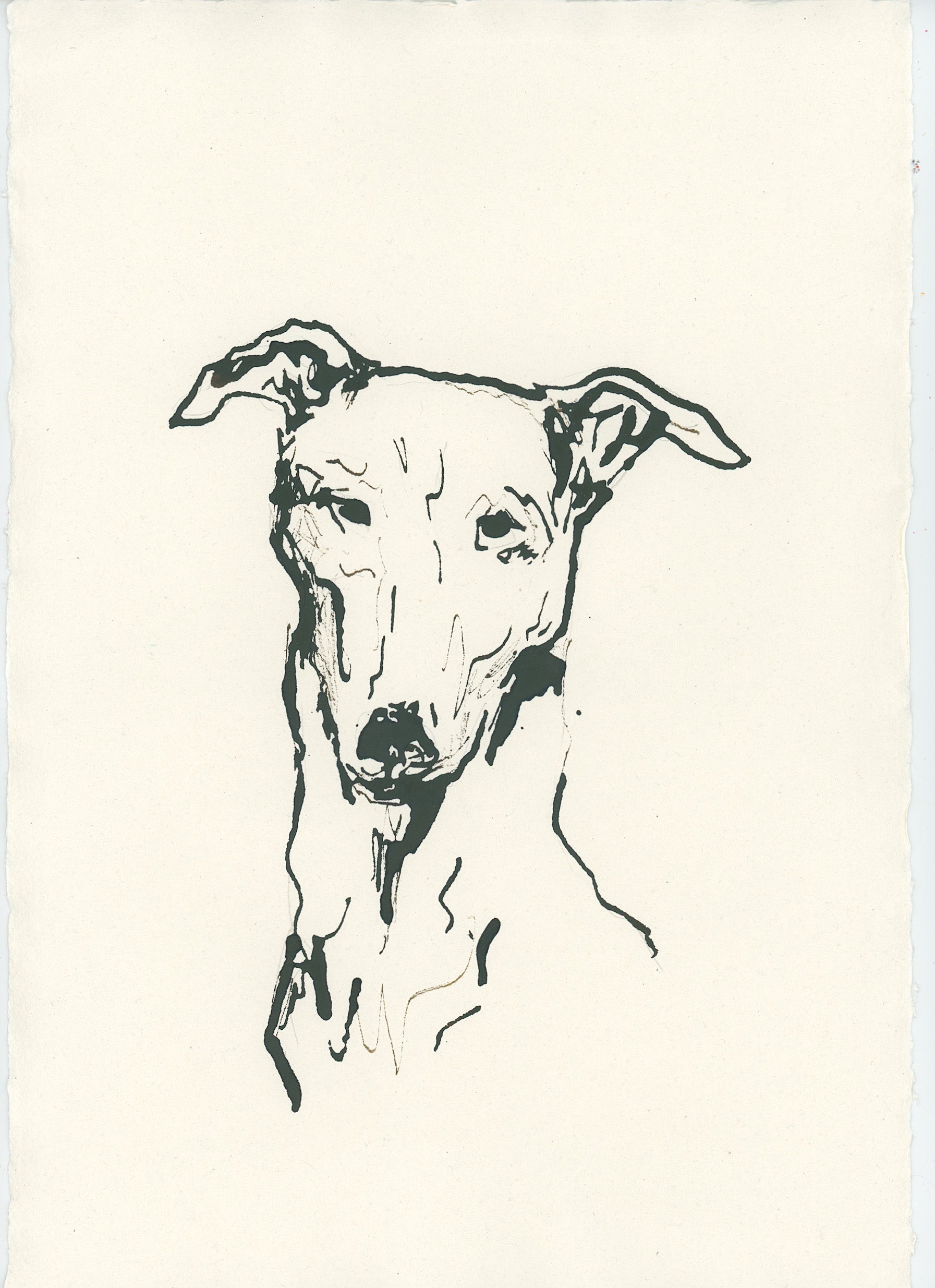 Acrylic Ink Dog no. 42 by Leah Boyd features a minimalist black ink sketch of a greyhound with upright ears and a long neck on off-white textured paper. This custom pet art includes expressive lines and comes with a certificate of authenticity.