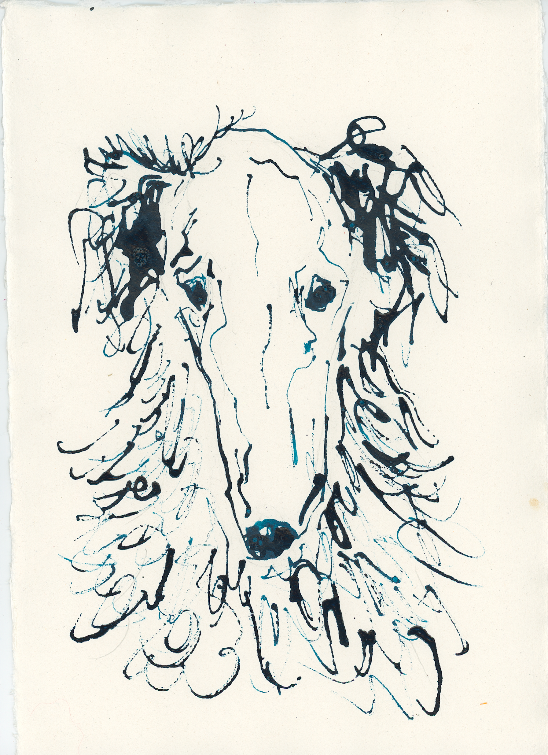 Acrylic Ink Dog no. 29 by Leah Boyd features a loose ink drawing of a long-faced, floppy-eared dog with shaggy fur, rendered in expressive black and blue acrylic ink on watercolor paper for unique custom dog art.