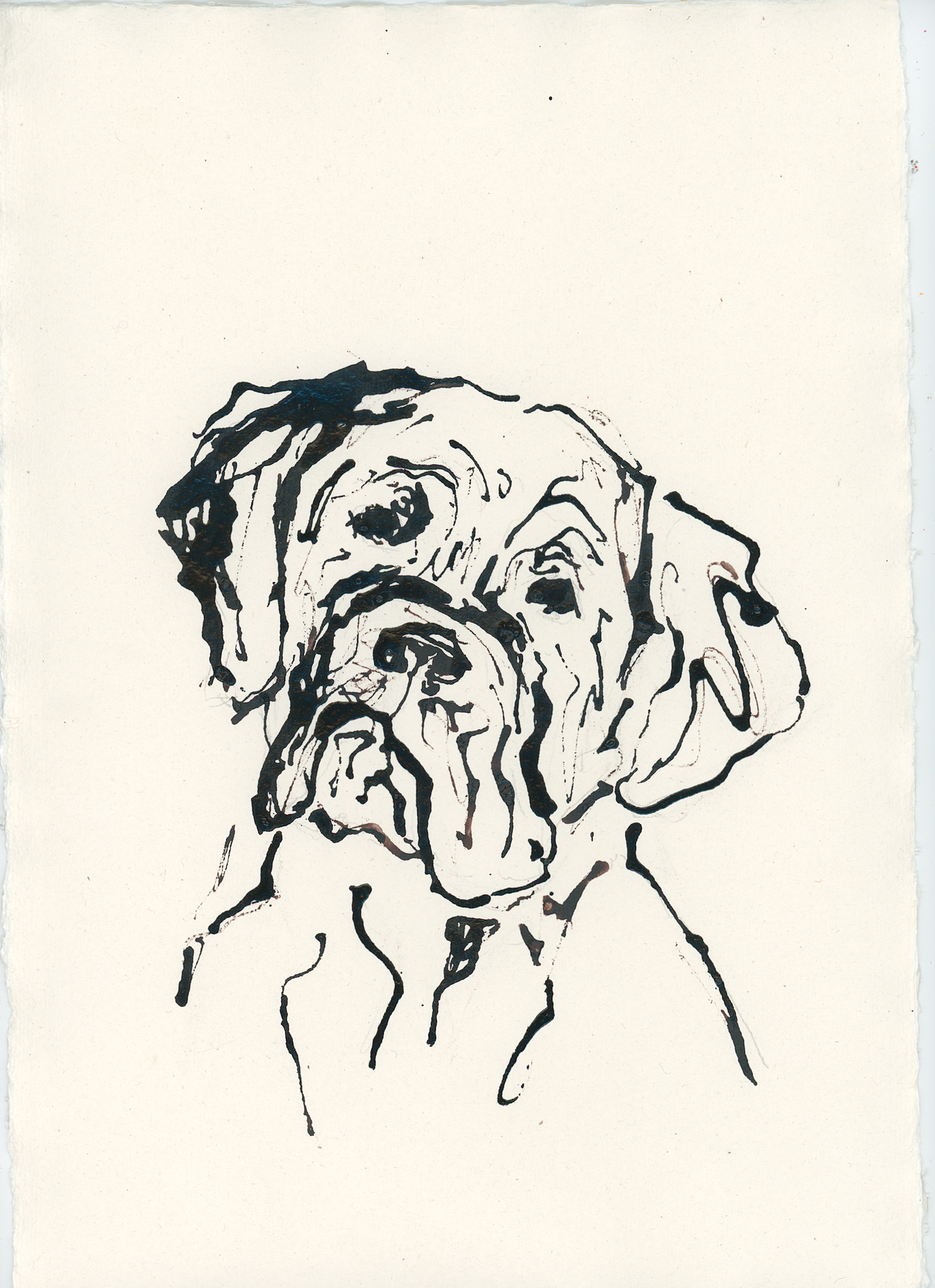 Acrylic Ink Dog no. 35 by Leah Boyd features a minimalist black ink drawing on watercolor paper showing the head and upper body of a wrinkled dog with expressive eyes and droopy ears. Includes certificate of authenticity.