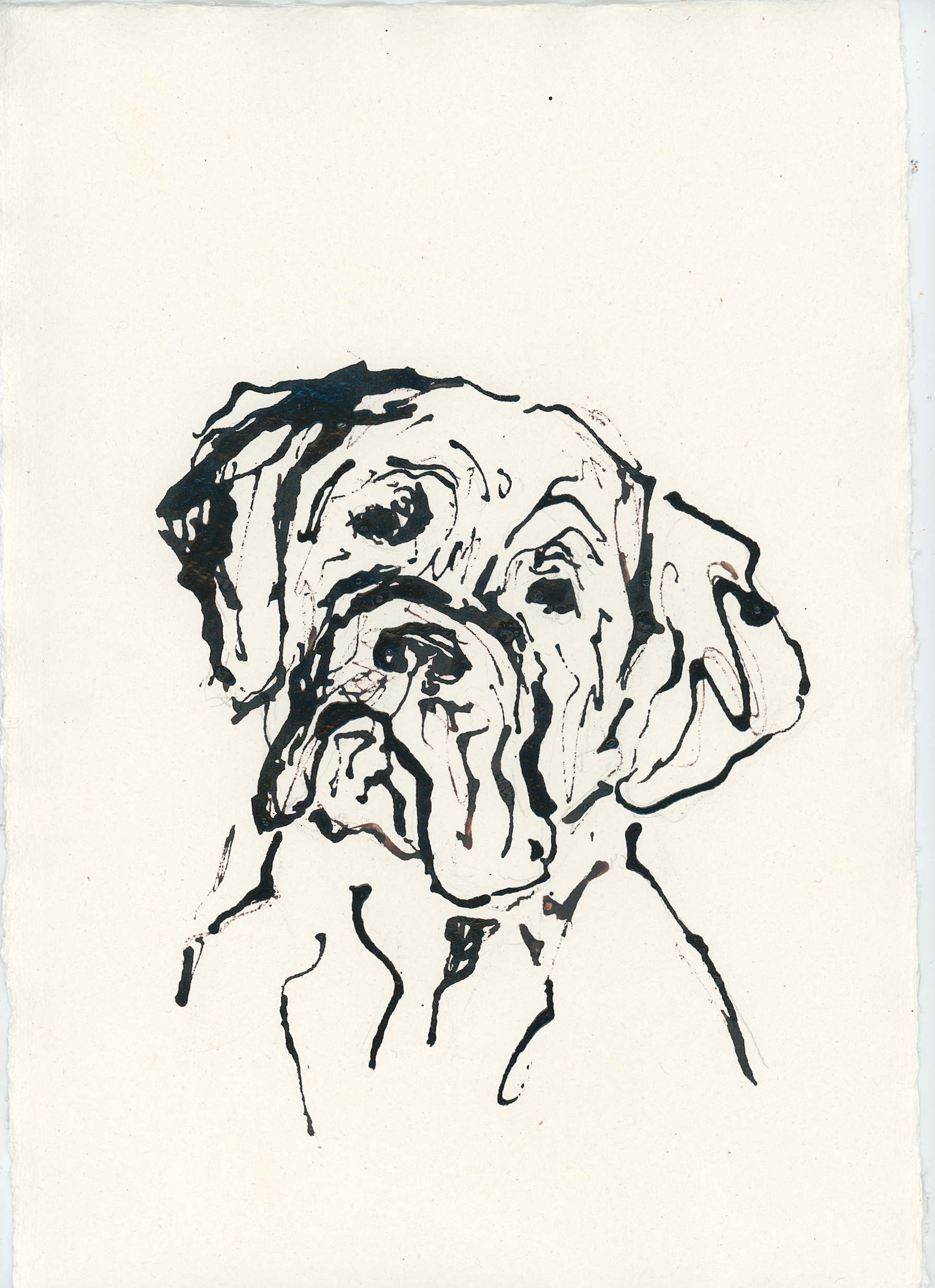 Acrylic Ink Dog no. 35 by Leah Boyd features a minimalist black ink drawing on watercolor paper showing the head and upper body of a wrinkled dog with expressive eyes and droopy ears. Includes certificate of authenticity.