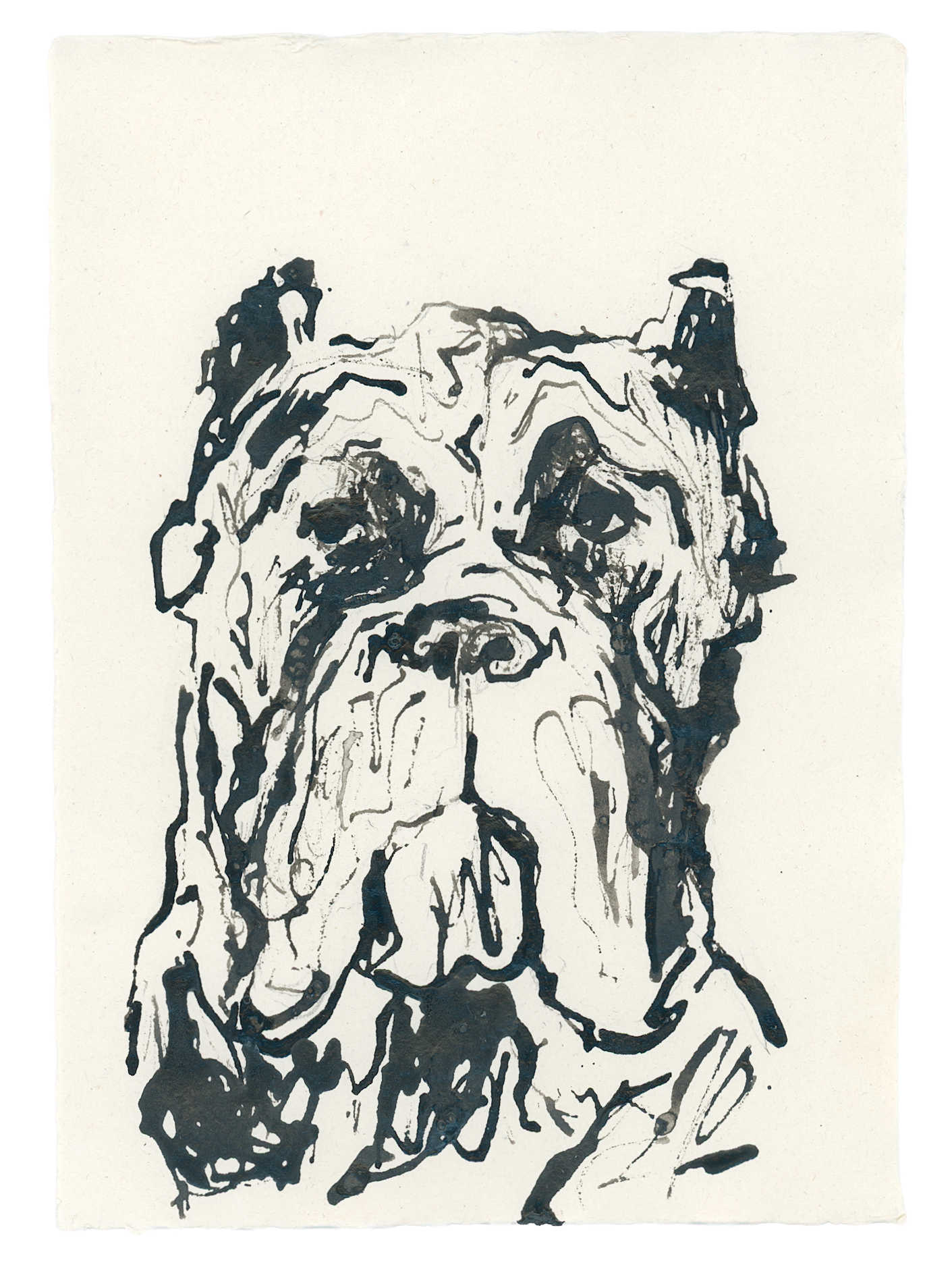 Acrylic Ink Dog no. 34 by Leah Boyd is a custom dog portrait featuring loose, expressive lines on white paper, highlighting droopy eyes, floppy ears, and a wrinkled face in a sketchy, abstract style.