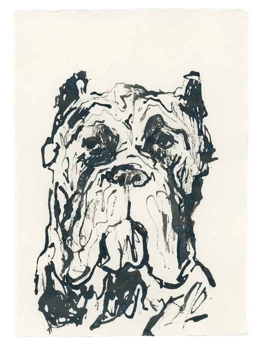 Acrylic Ink Dog no. 34 by Leah Boyd is a custom dog portrait featuring loose, expressive lines on white paper, highlighting droopy eyes, floppy ears, and a wrinkled face in a sketchy, abstract style.