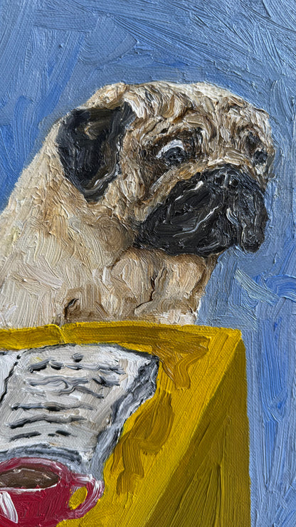 Puzzled Pugs