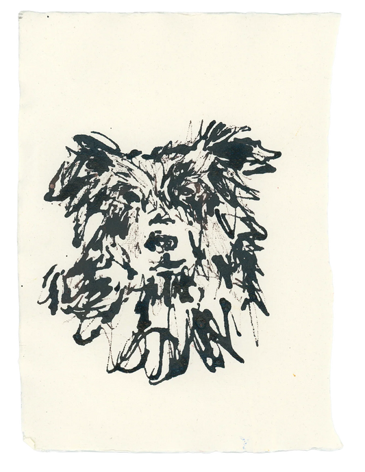 Acrylic Ink Dog no. 13 by Leah Boyd features expressive, textured black ink lines of a fluffy, pointed-eared dog on off-white, rough-edged paper—perfect for custom pet art collectors.