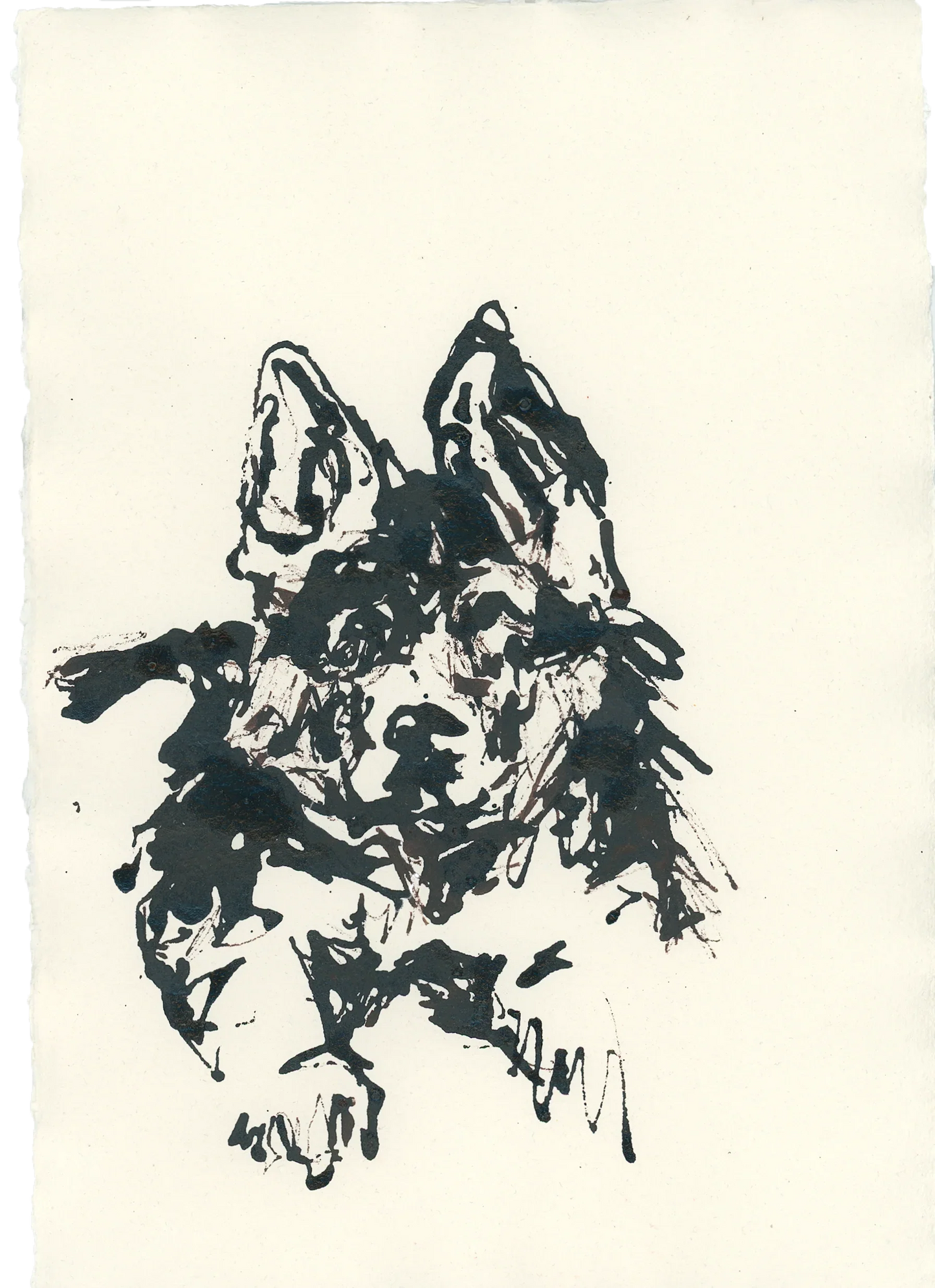 Acrylic Ink Dog no. 14 by Leah Boyd features a dog with large pointed ears and expressive eyes in a loose, sketchy style on cream watercolor paper. The dog faces forward with one paw raised. Includes certificate of authenticity.
